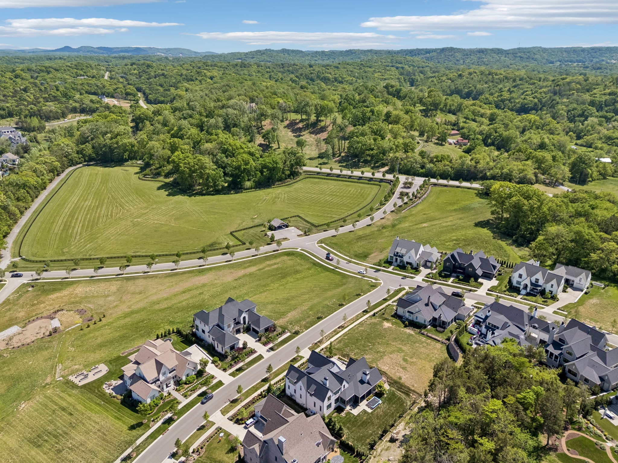 9004 Passiflora Ct, College Grove, TN 37046