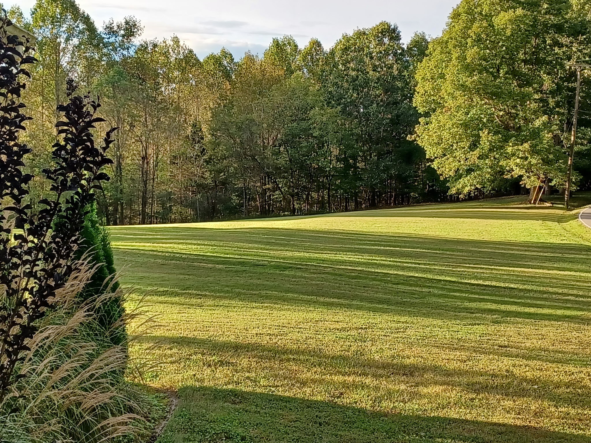 2667 Crocker Springs Rd, Goodlettsville, TN 37072