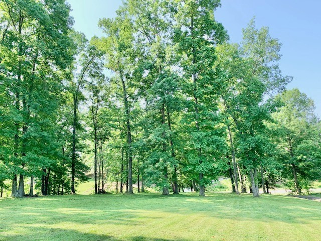 6184 Dewey Carr Rd, Bethpage, TN 37022
