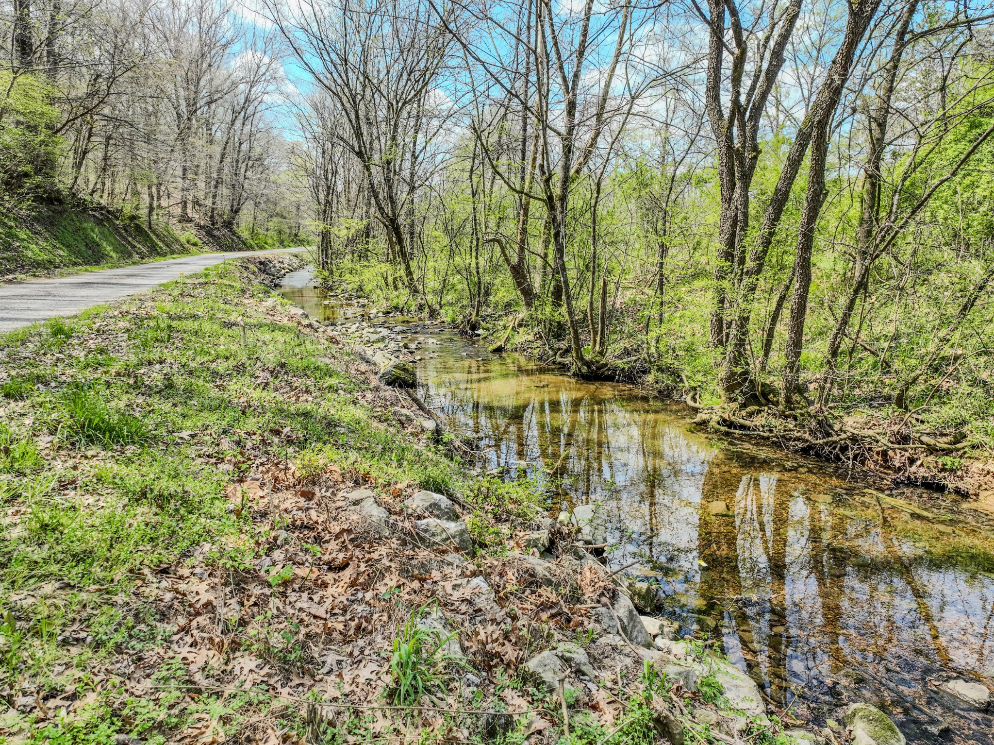 0 Pickard Hollow Rd, Mount Pleasant, TN 38474