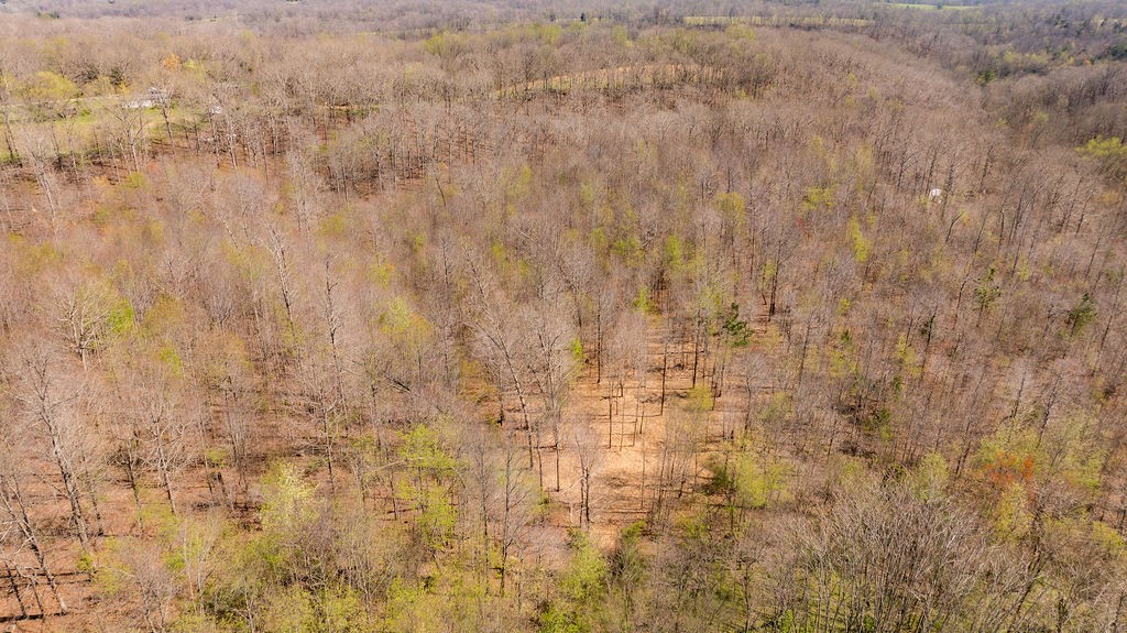 7365 Coldwater Rd, Fairview, TN 37062