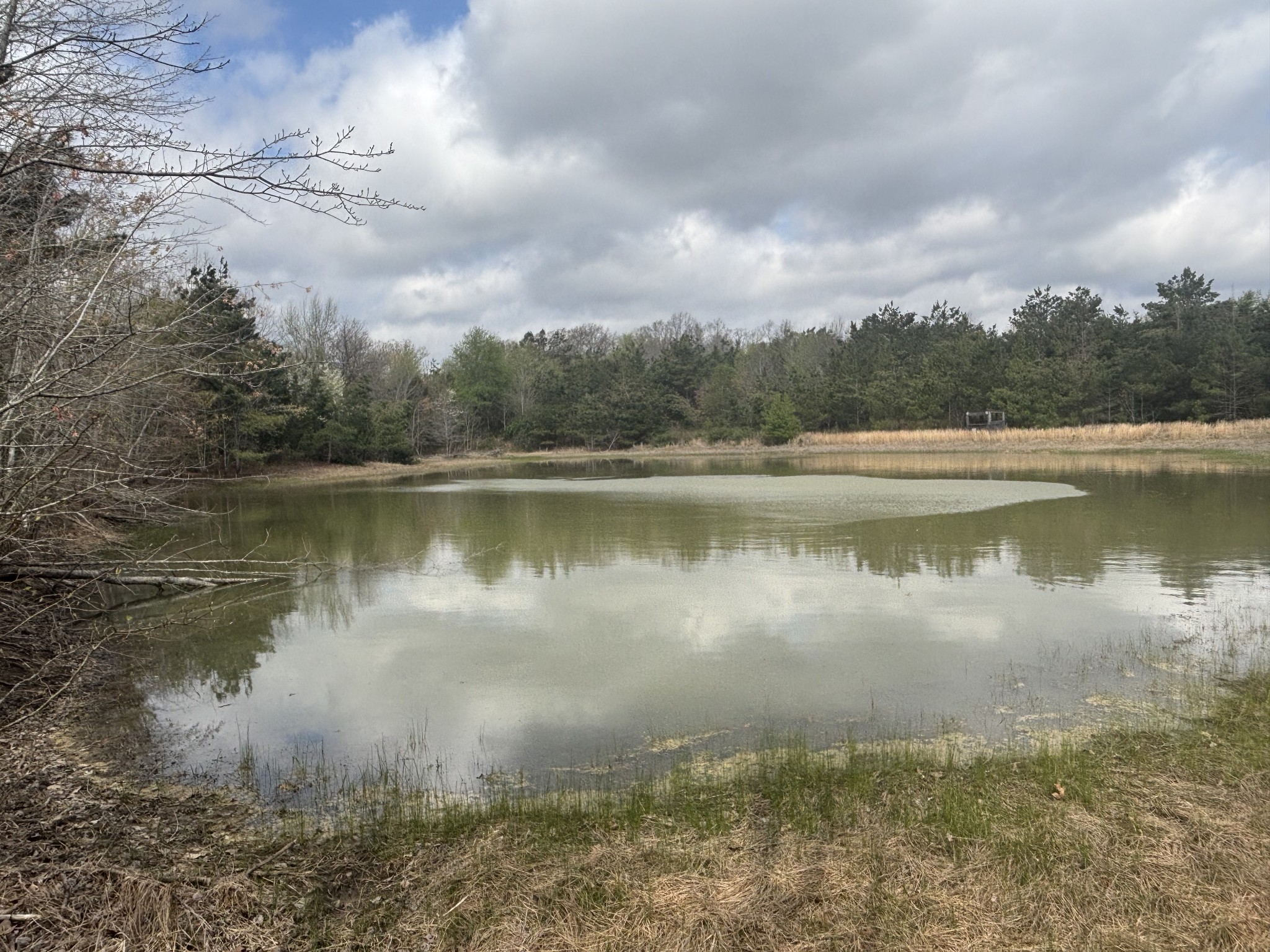 1275 Highway 48 S, Dickson, TN 37055
