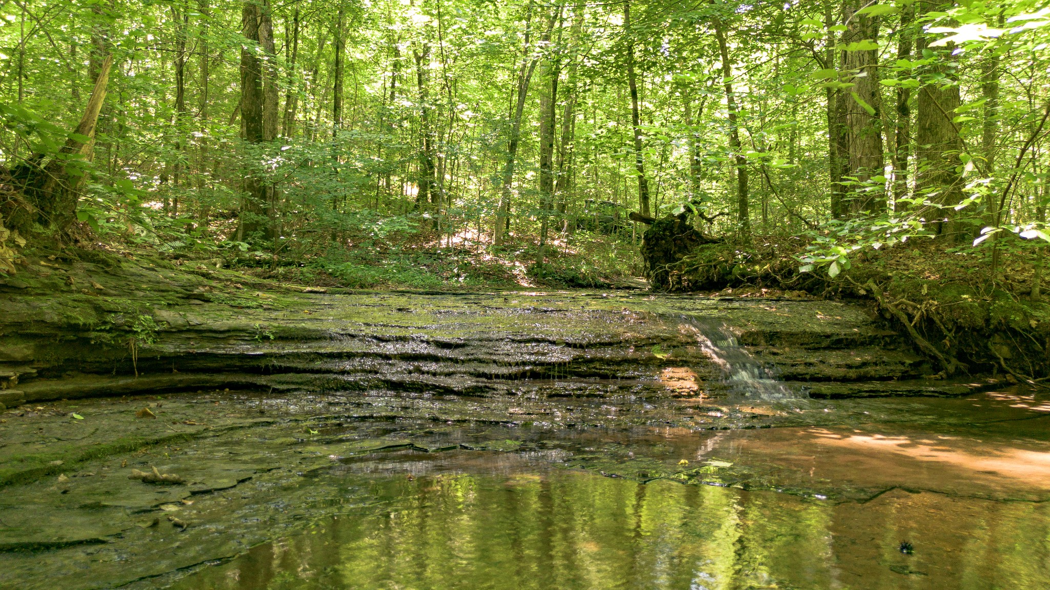 8218 Old Pond Creek Rd, Nashville, TN 37209
