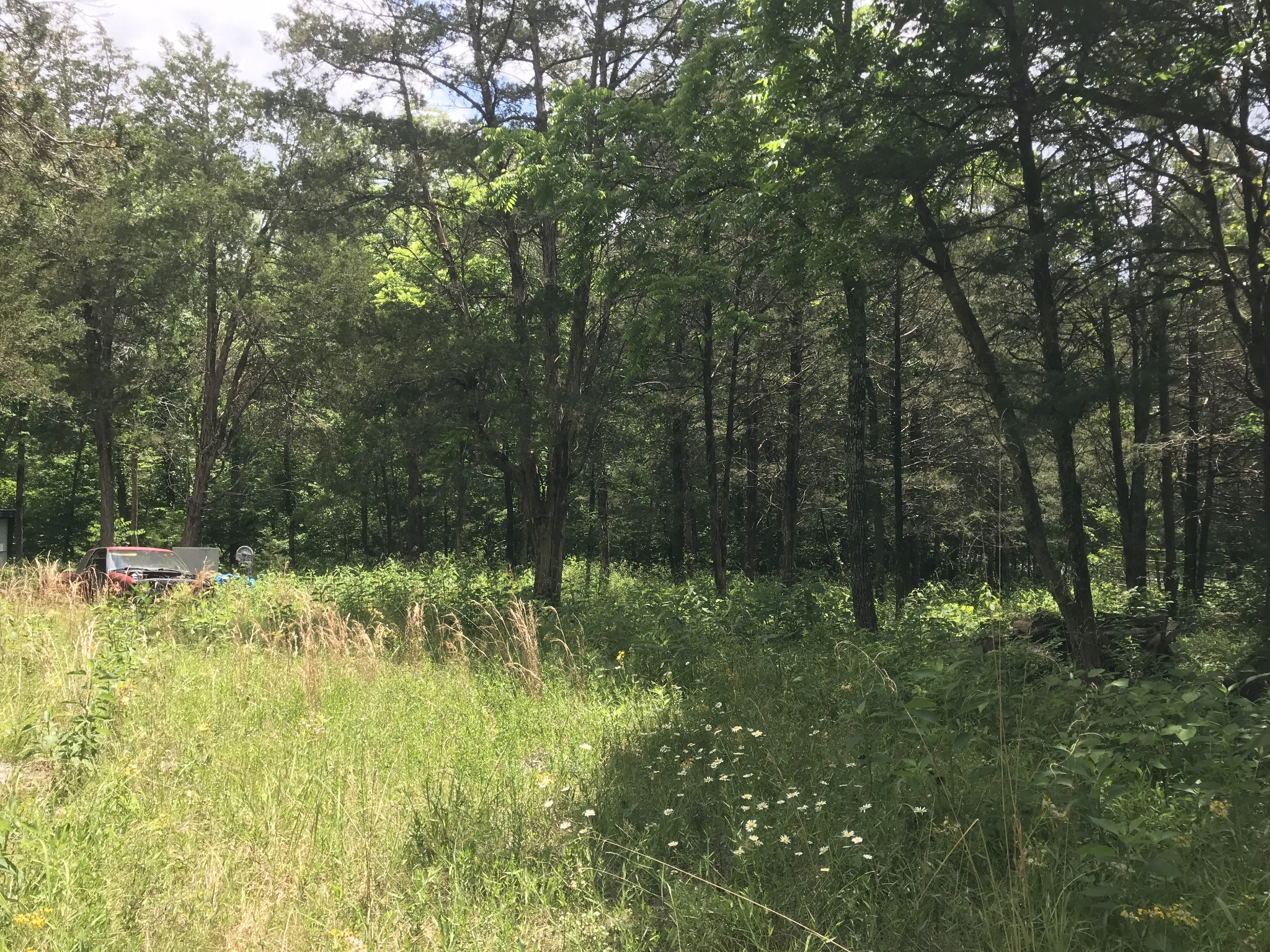 1989 Luther Sharp Rd, Columbia, TN 38401