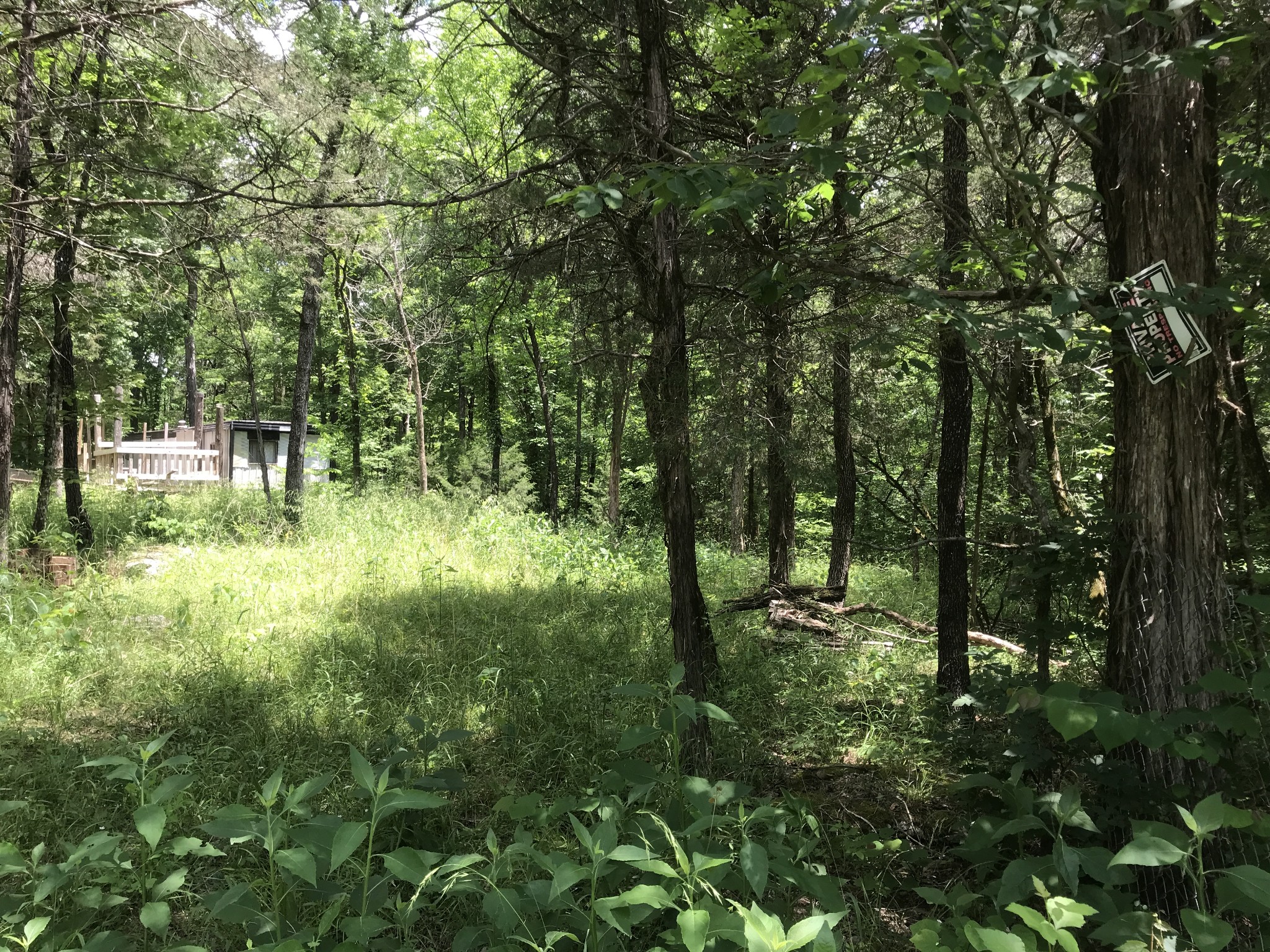 1989 Luther Sharp Rd, Columbia, TN 38401