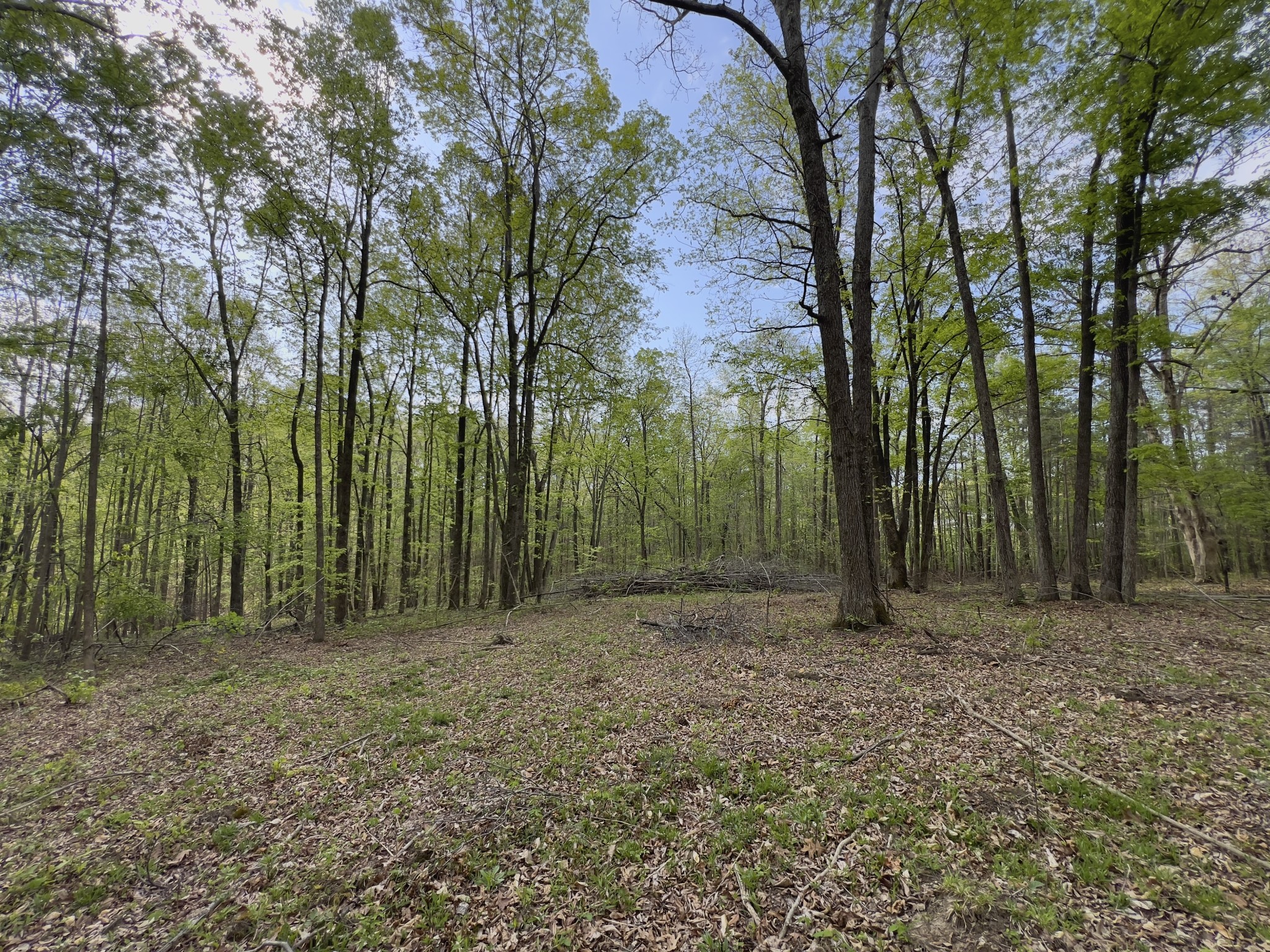 0 Valley Rd, Fairview, TN 37062