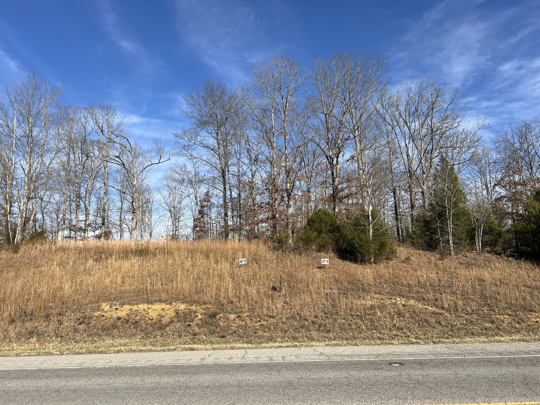0 Hwy 7 Lot 10, Santa Fe, TN 38482