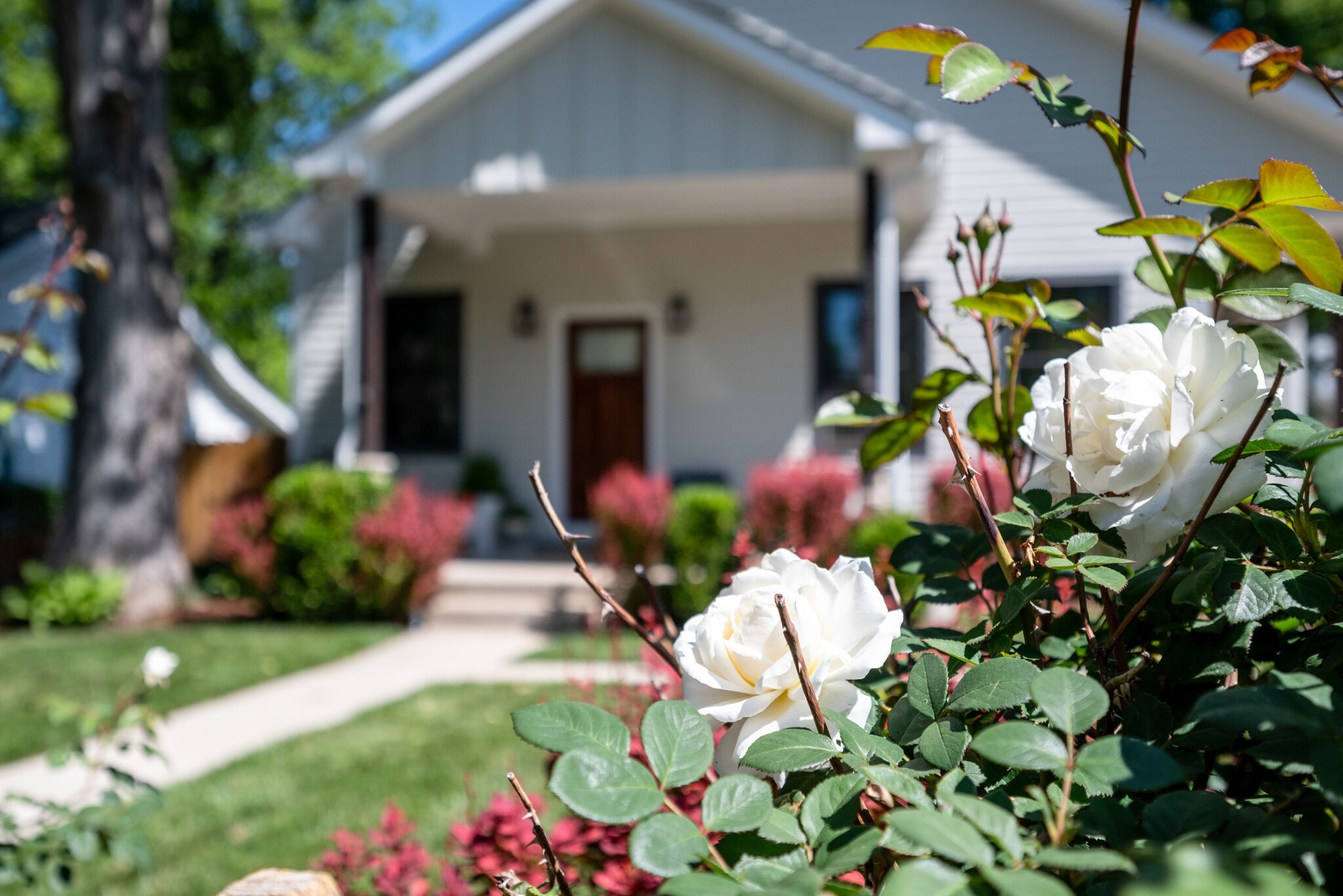 1429 Roberts Ave, Nashville, TN 37206