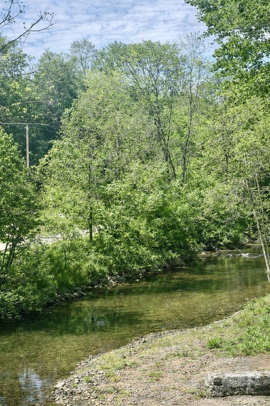 0 Little Bartons Creek Rd, Cumberland Furnace, TN 37051