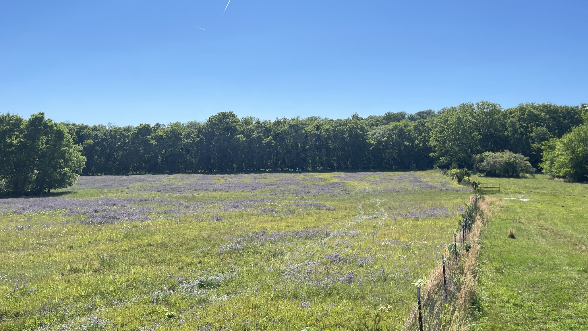 1480 Rogers Ln, Lebanon, TN 37087