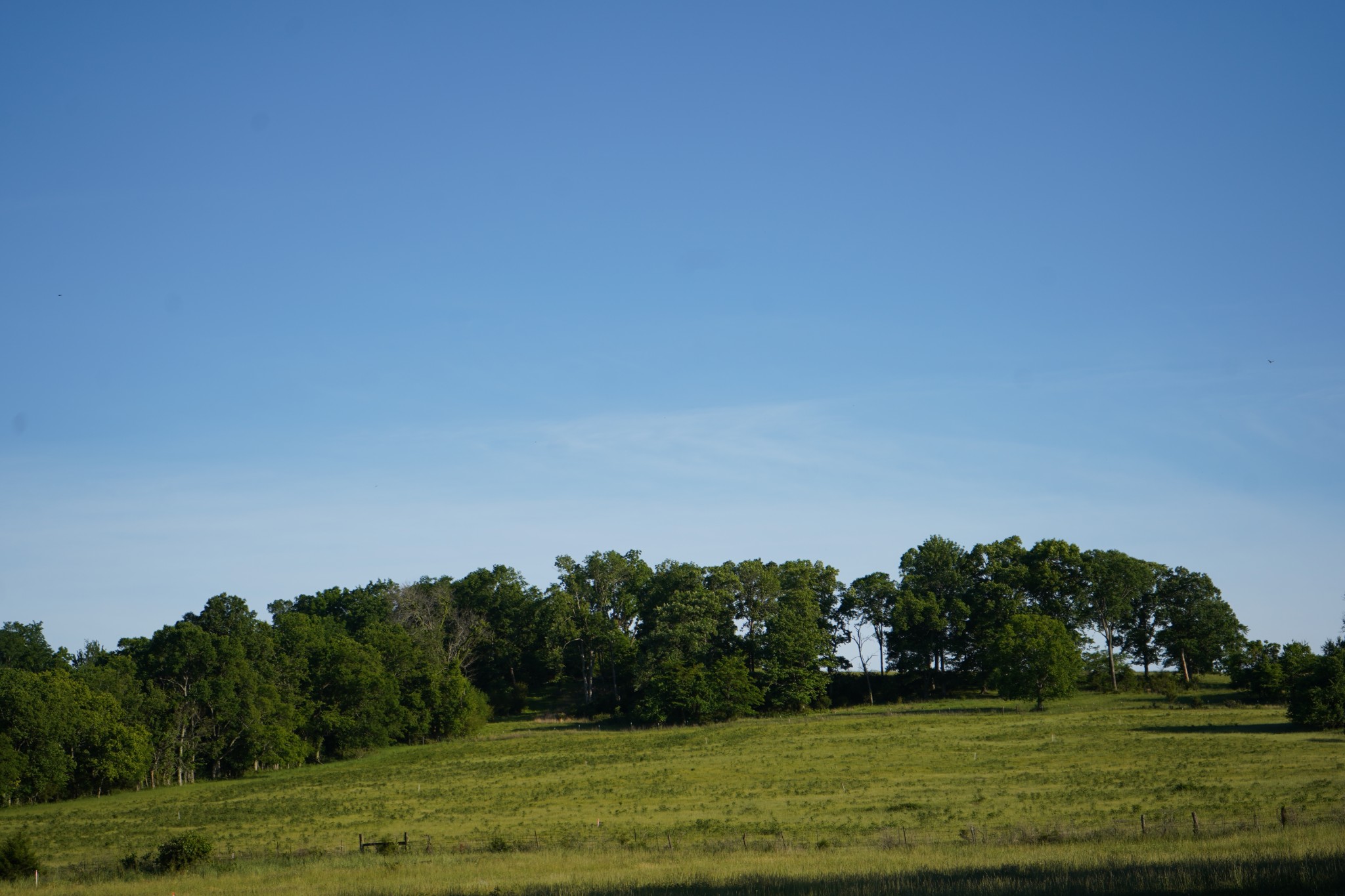 1480 Rogers Ln, Lebanon, TN 37087