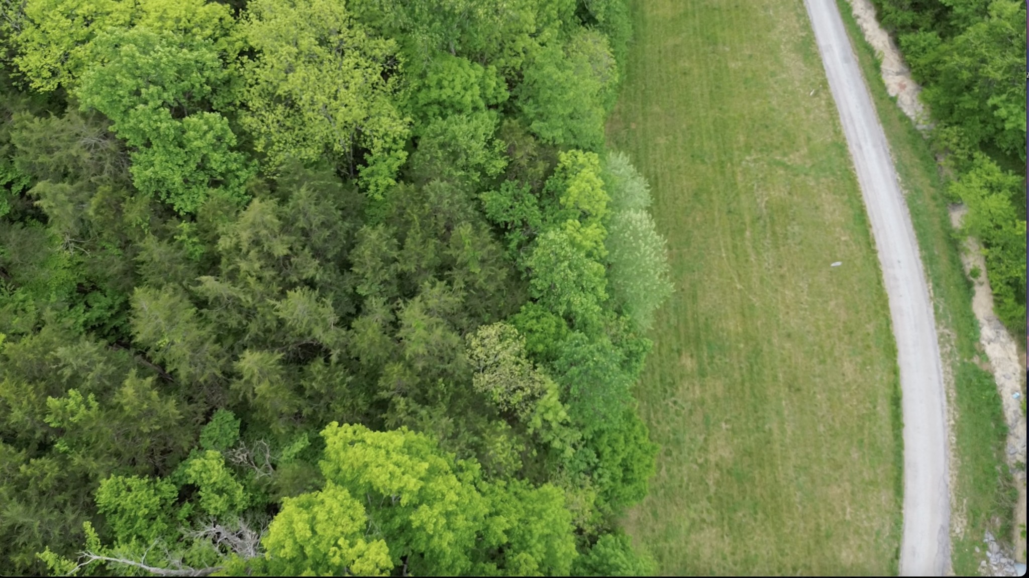 0 Hackett Hollow Ln Lot 2, Pleasant Shade, TN 37145
