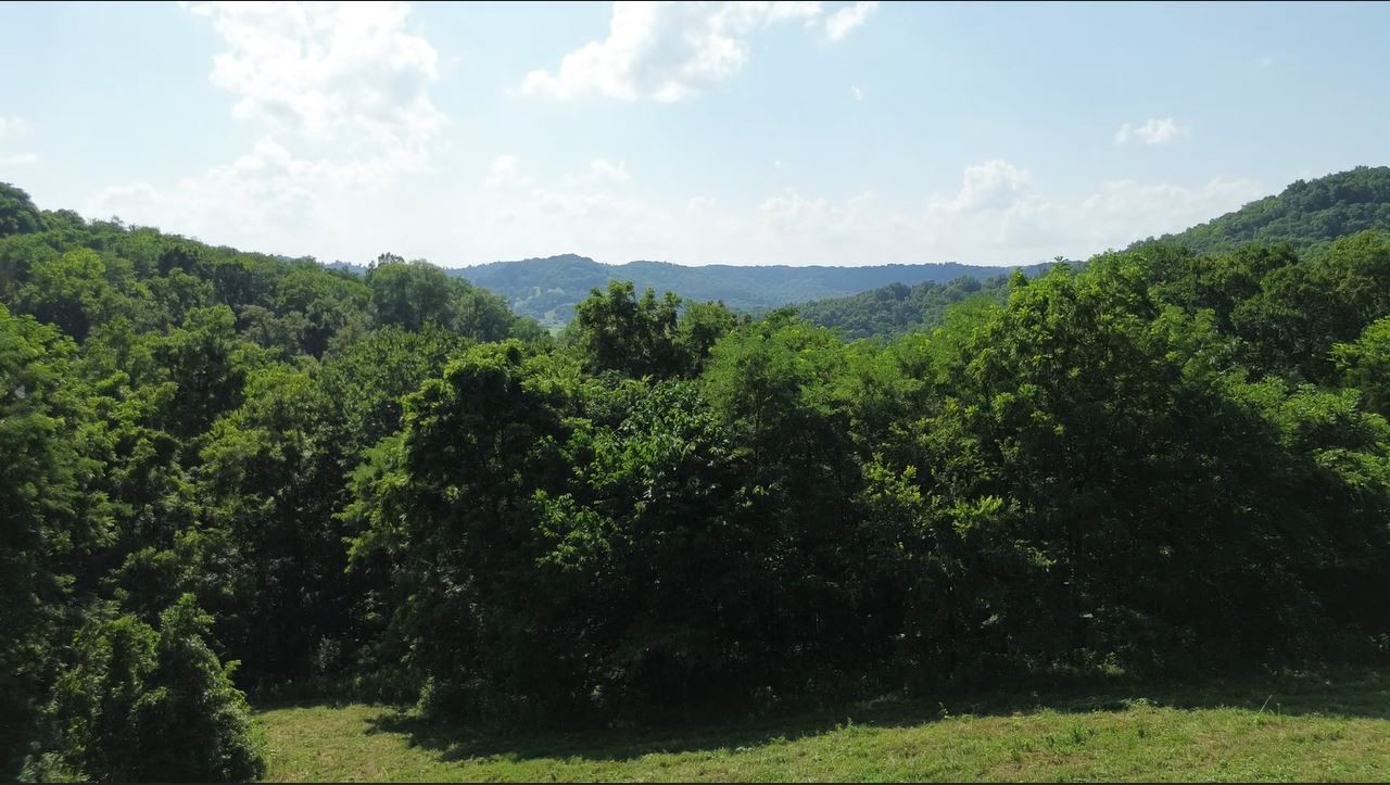 0 Hackett Hollow Ln Lot 3, Pleasant Shade, TN 37145