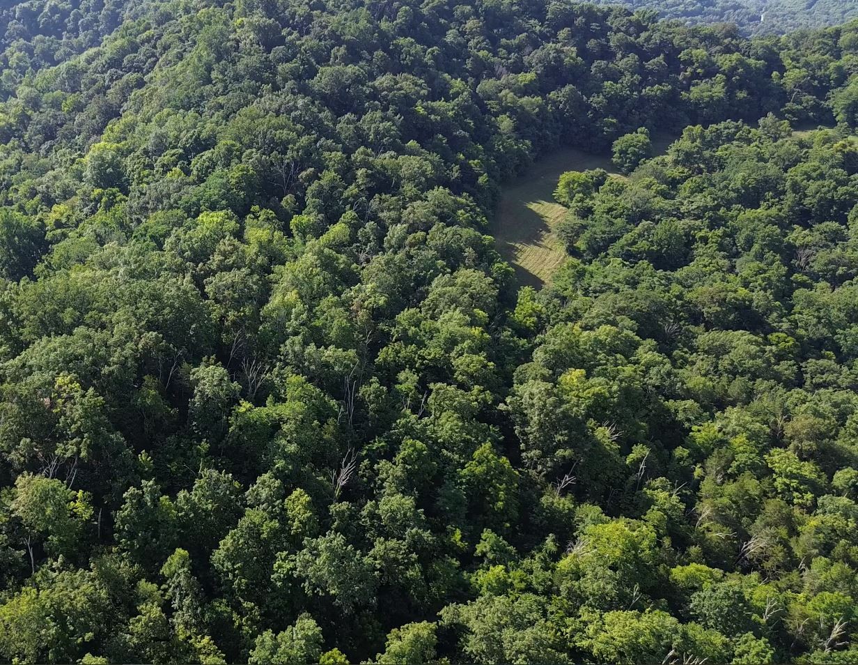 0 Hackett Hollow Ln Lot 3, Pleasant Shade, TN 37145