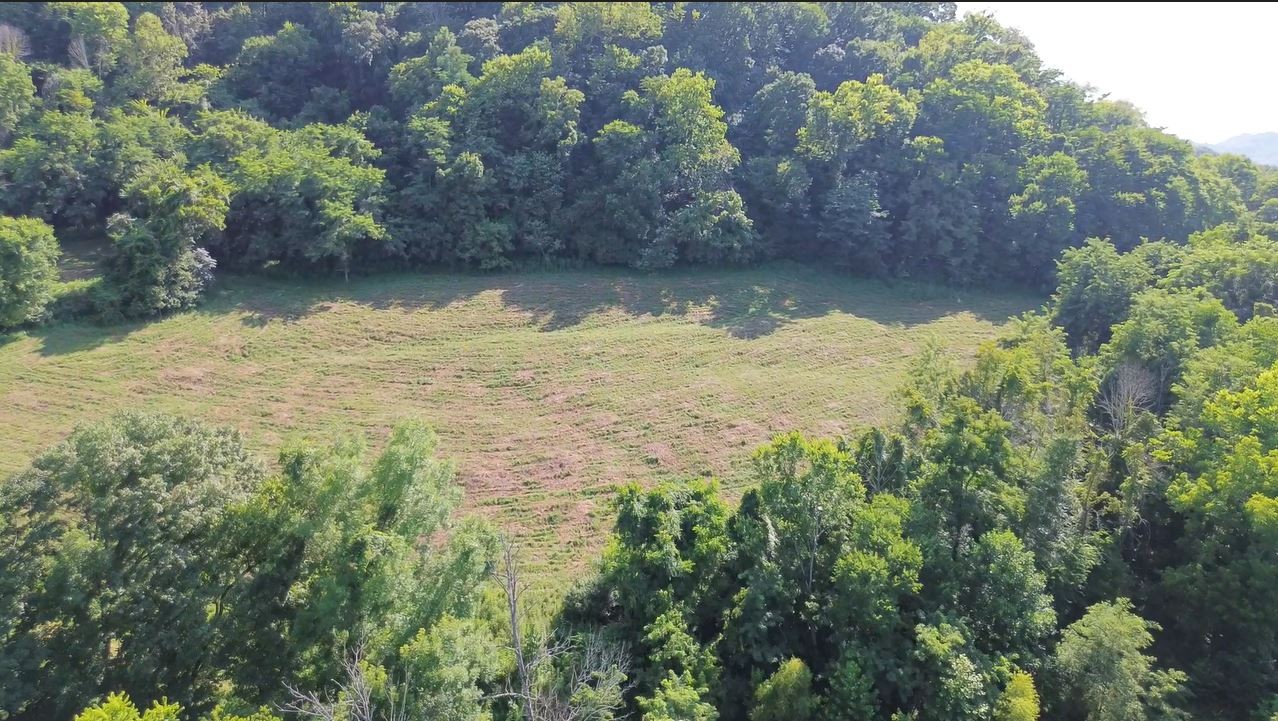 0 Hackett Hollow Ln Lot 3, Pleasant Shade, TN 37145