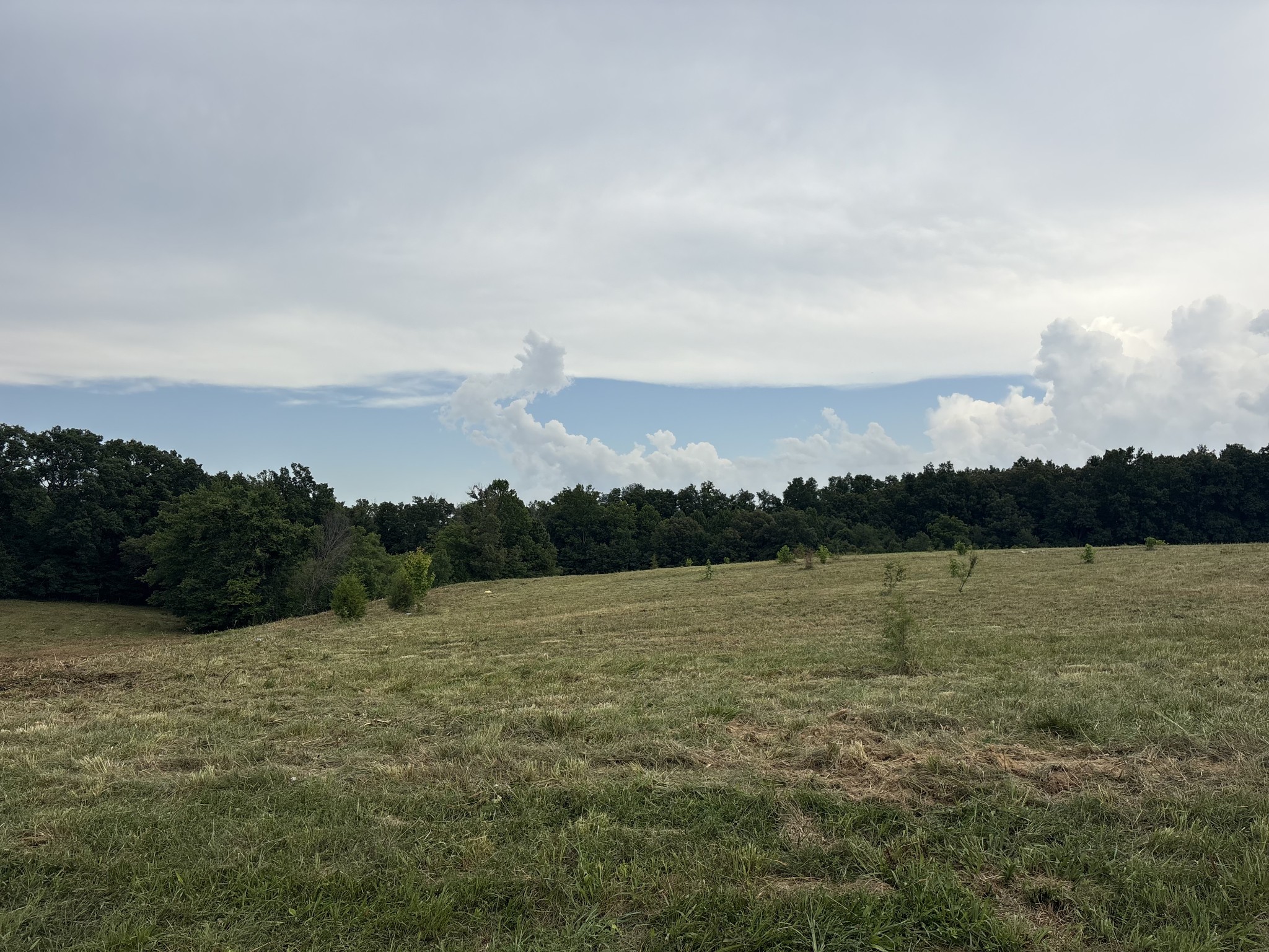 210 Nubia Rd, Westmoreland, TN 37186
