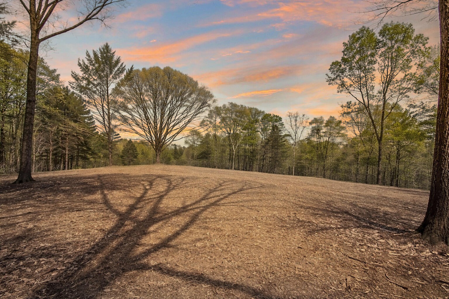 0 Butcher Ridge Rd, Cumberland Furnace, TN 37051