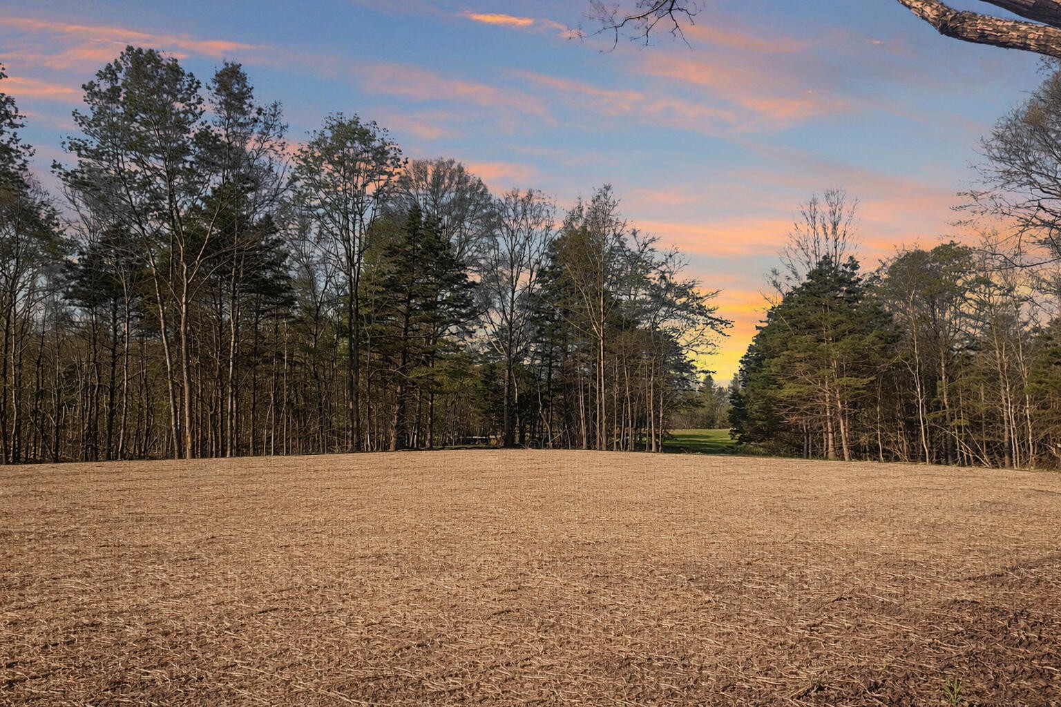 0 Butcher Ridge Rd, Cumberland Furnace, TN 37051