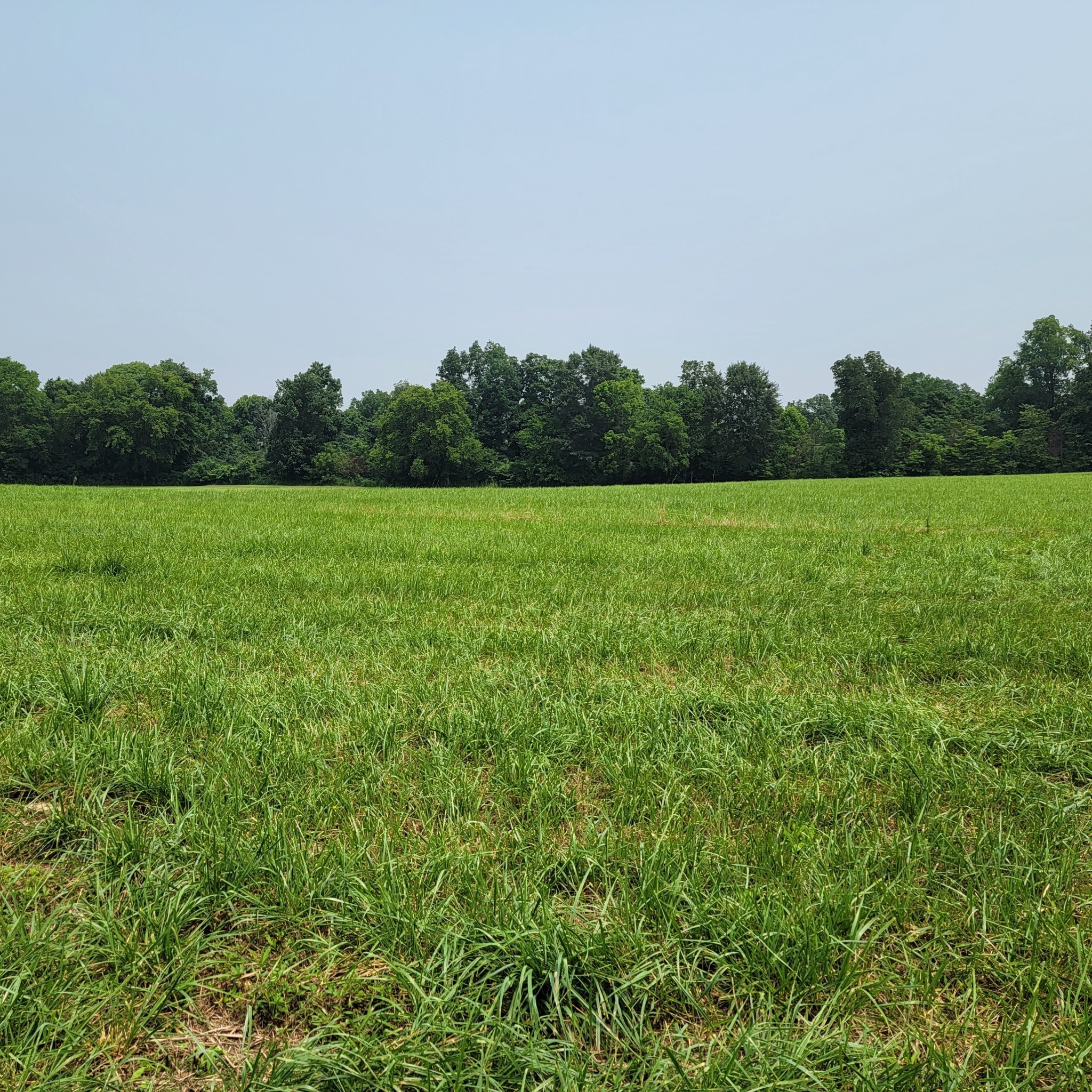 0 Red River School Rd Lot 20, Portland, TN 37148