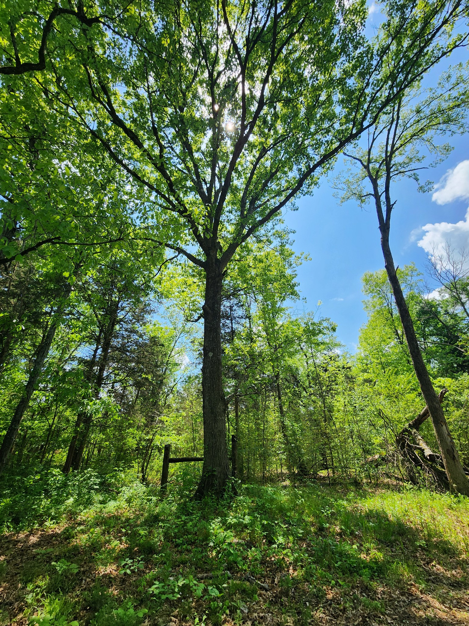 0 Murray Kittrell Rd Lot 11.63, Readyville, TN 37149
