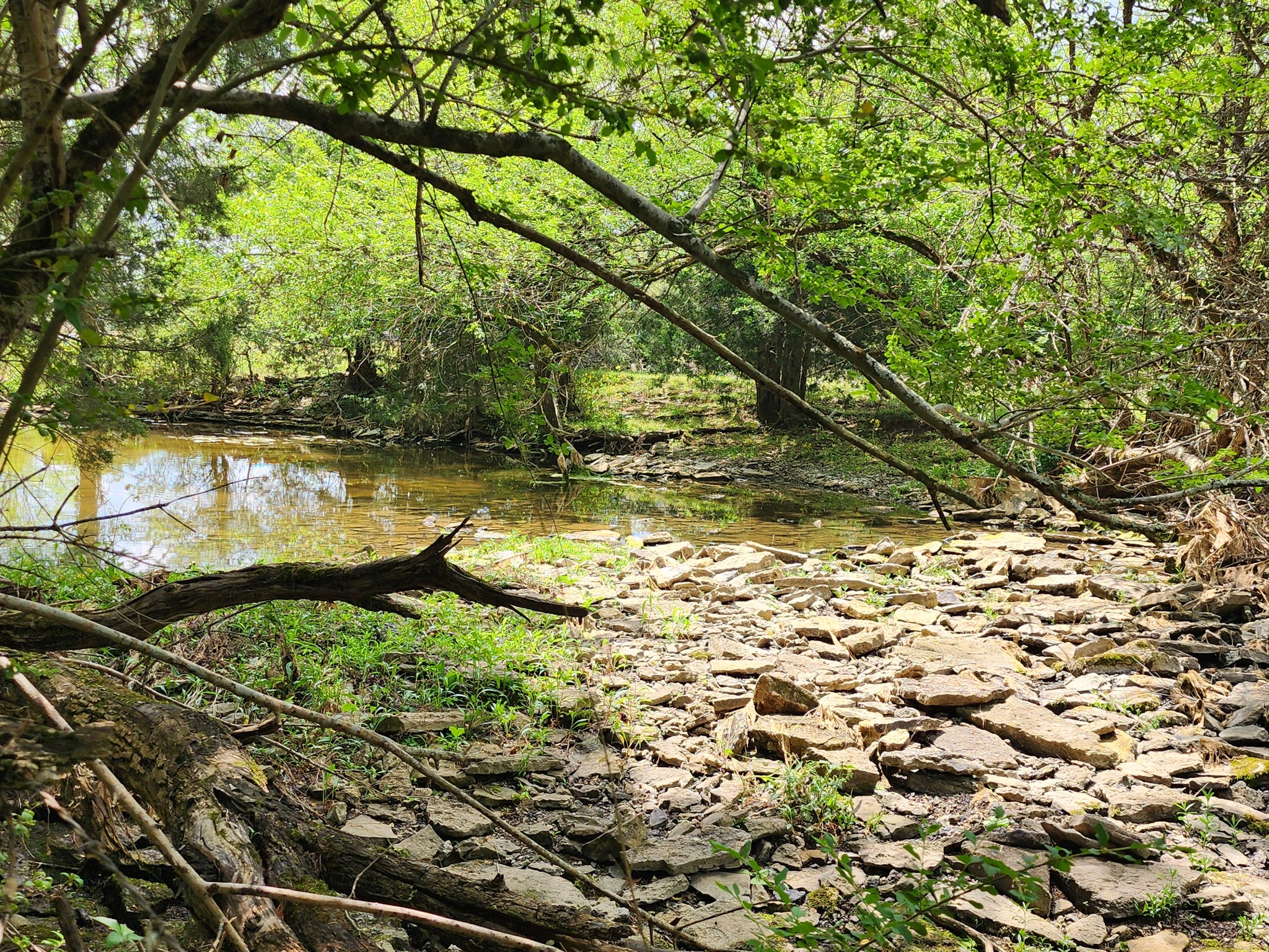 0 Murray Kittrell Rd Lot 11.63, Readyville, TN 37149