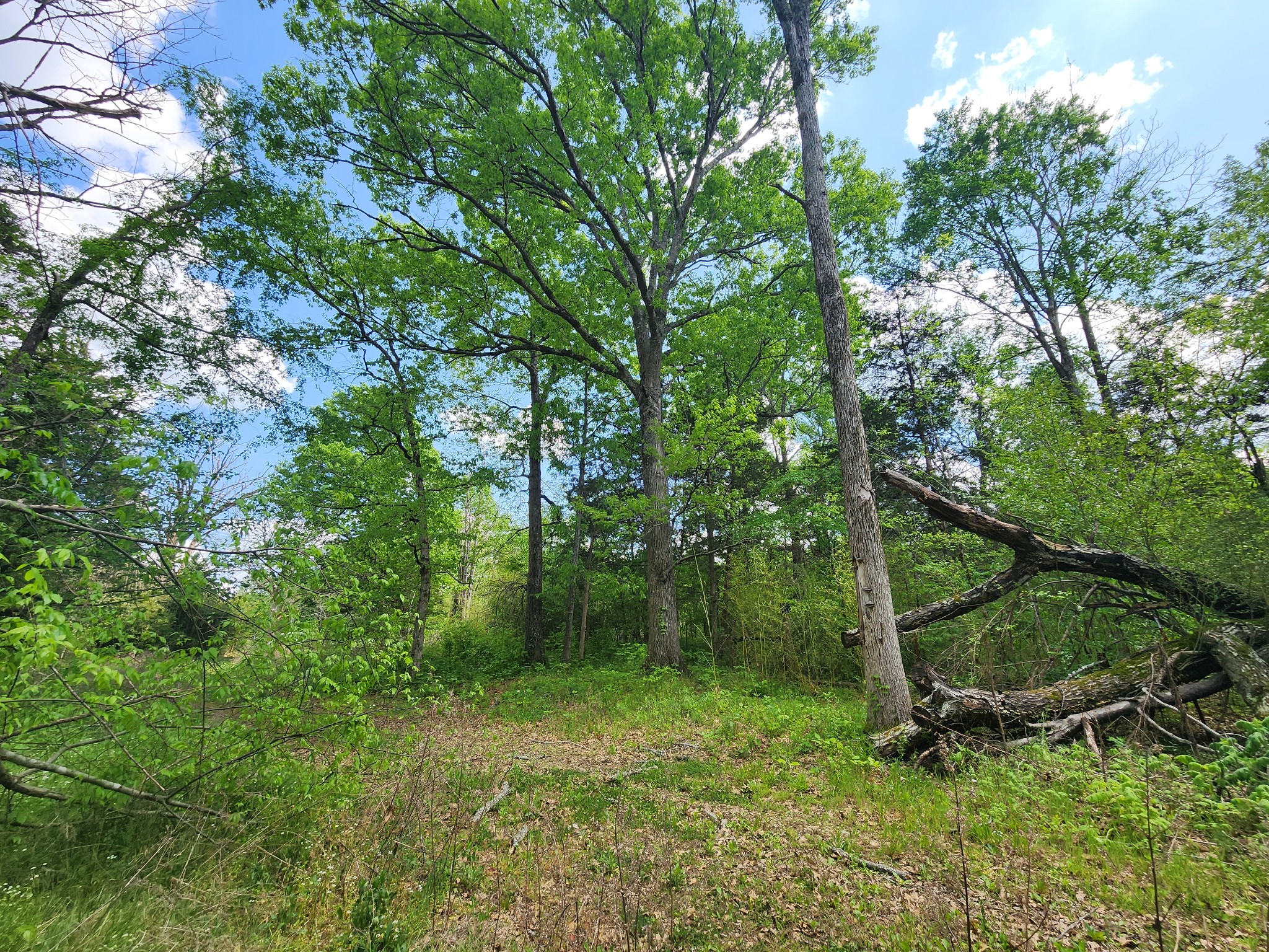 0 Murray Kittrell Rd Lot 11.63, Readyville, TN 37149