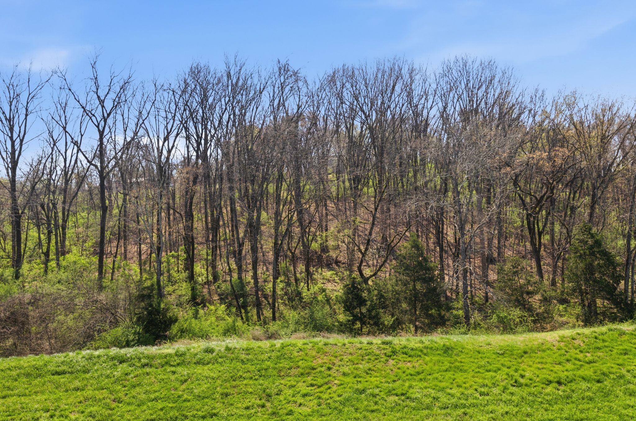 9645 Kaplan Ave, Brentwood, TN 37027