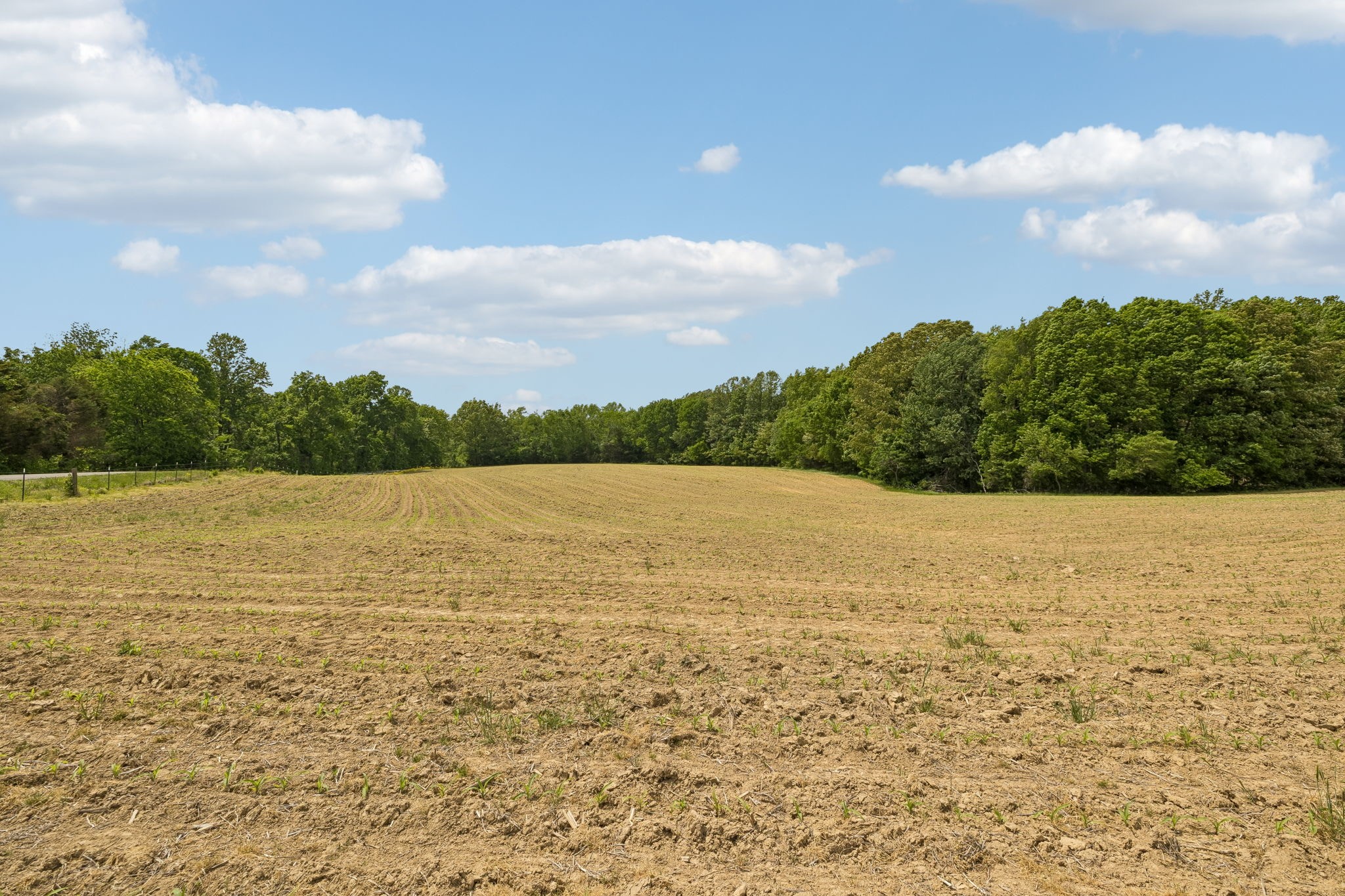 473 Hickory Corner Rd, Bethpage, TN 37022
