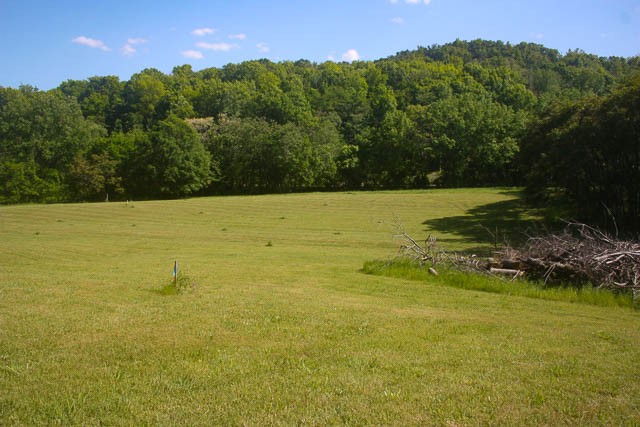 0 Harpeth Peytonsville Rd Lot 2, Thompsons Station, TN 37179