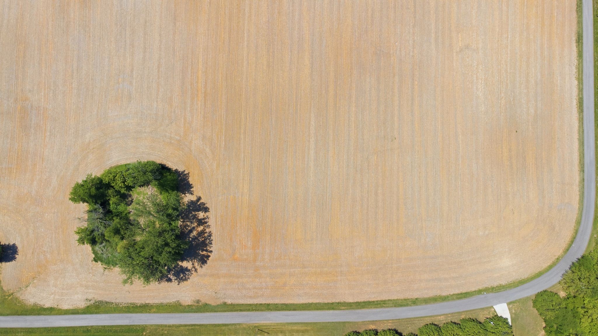 0 Bob Carr Rd, Cross Plains, TN 37049