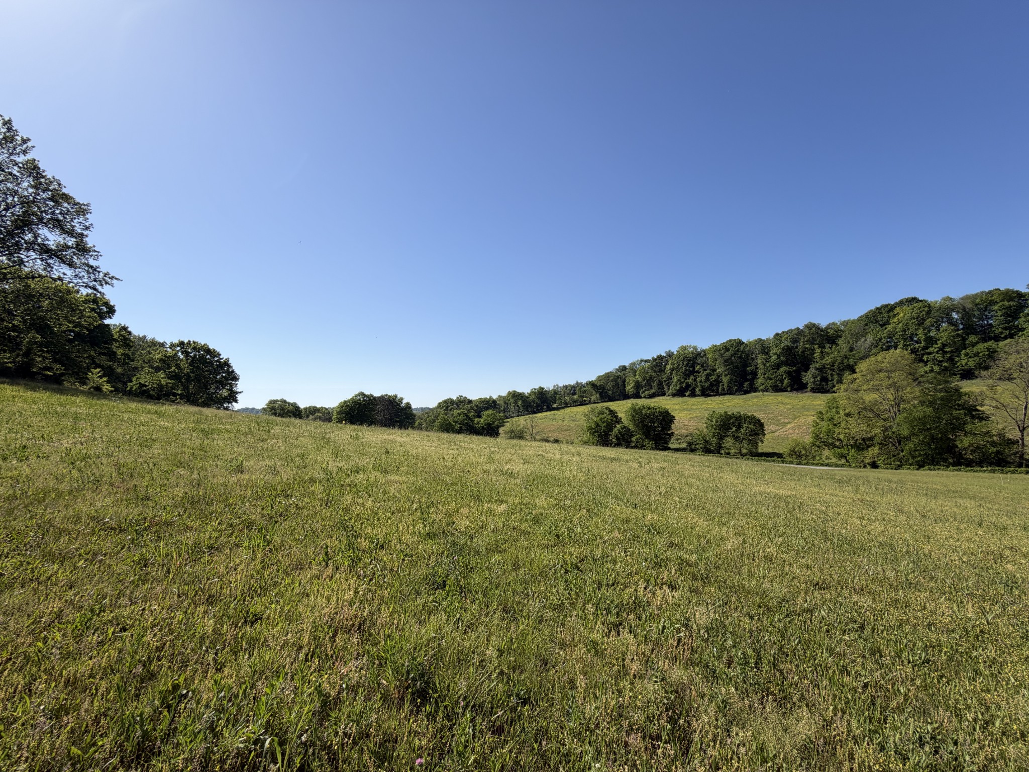 0 Steam Mill Hollow Rd Lot 1, Williamsport, TN 38487