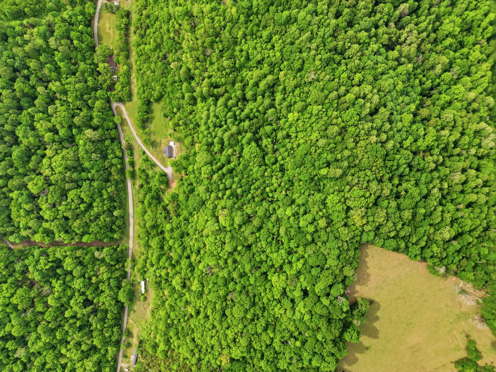 78 Dog Branch Rd S, Pleasant Shade, TN 37145