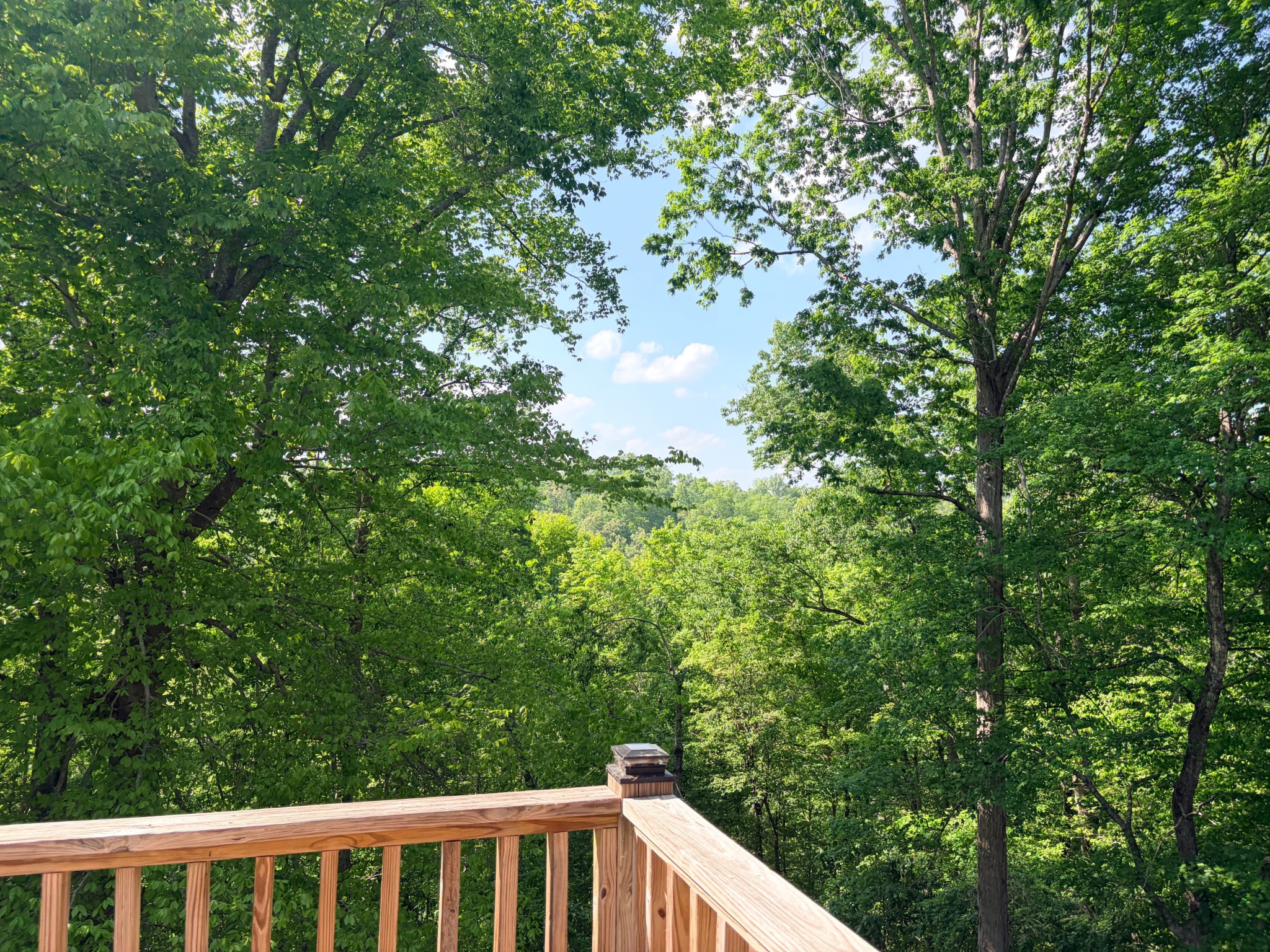 4541 Tanglewood Rd, Pegram, TN 37143