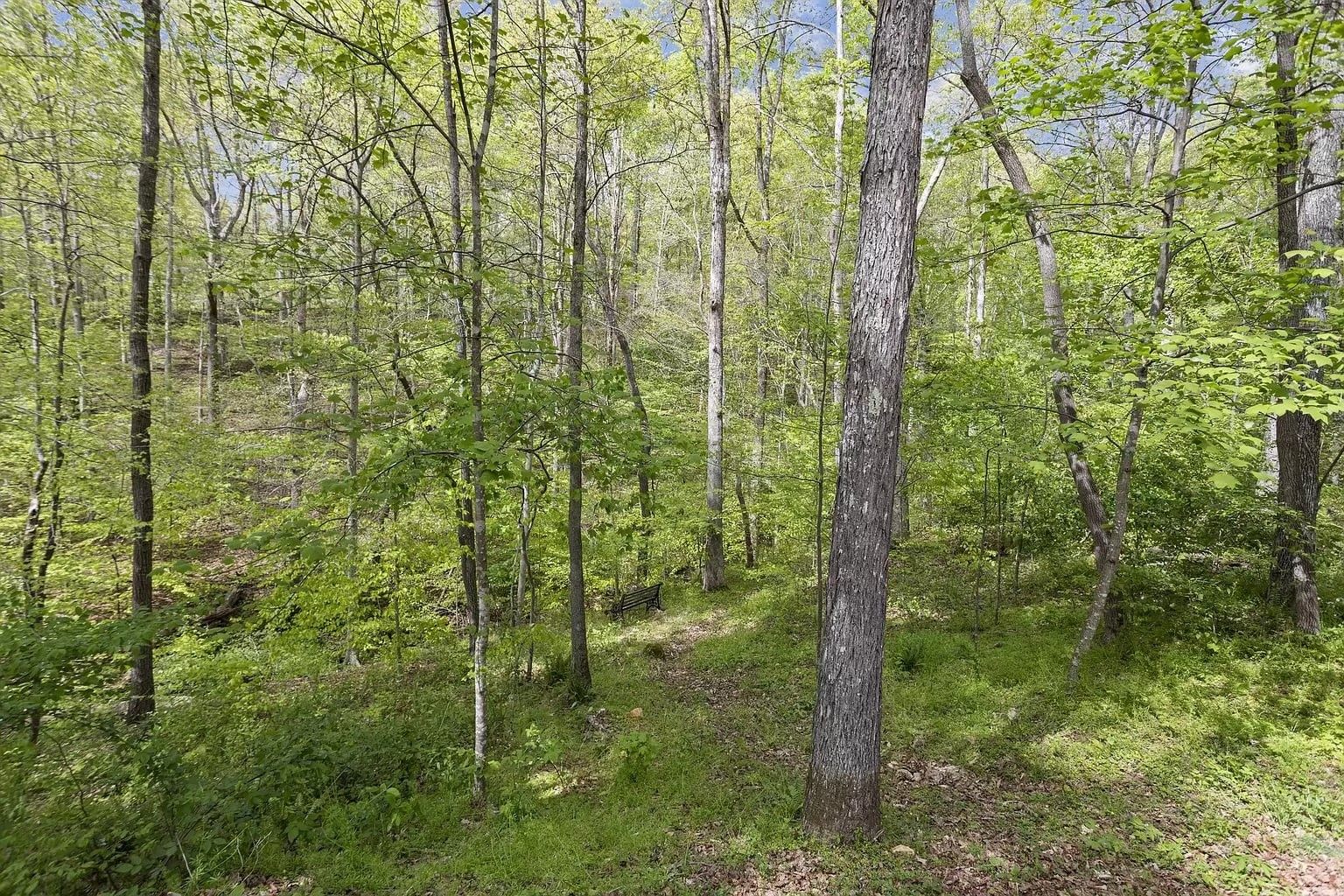 1101 Wax Wing Cir, Kingston Springs, TN 37082