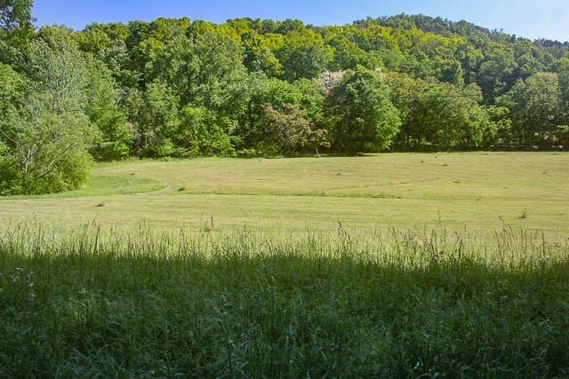 0 Harpeth Peytonsville Rd Lot 3, Thompsons Station, TN 37179