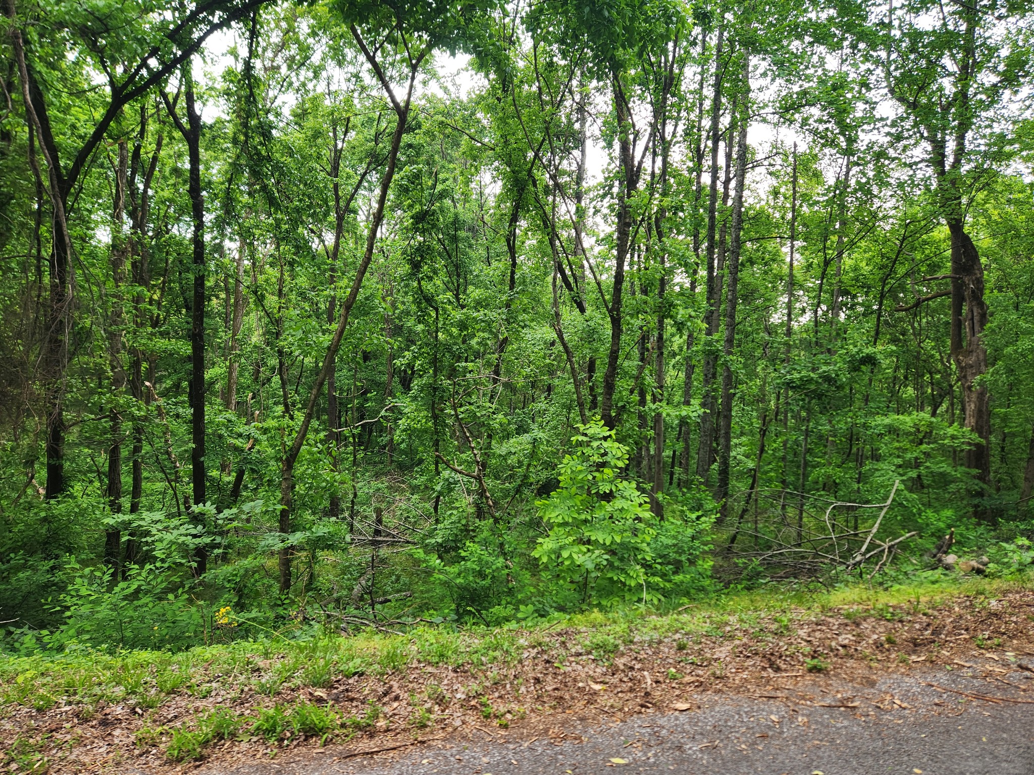 0 Thompson Hill Rd, Bethpage, TN 37022