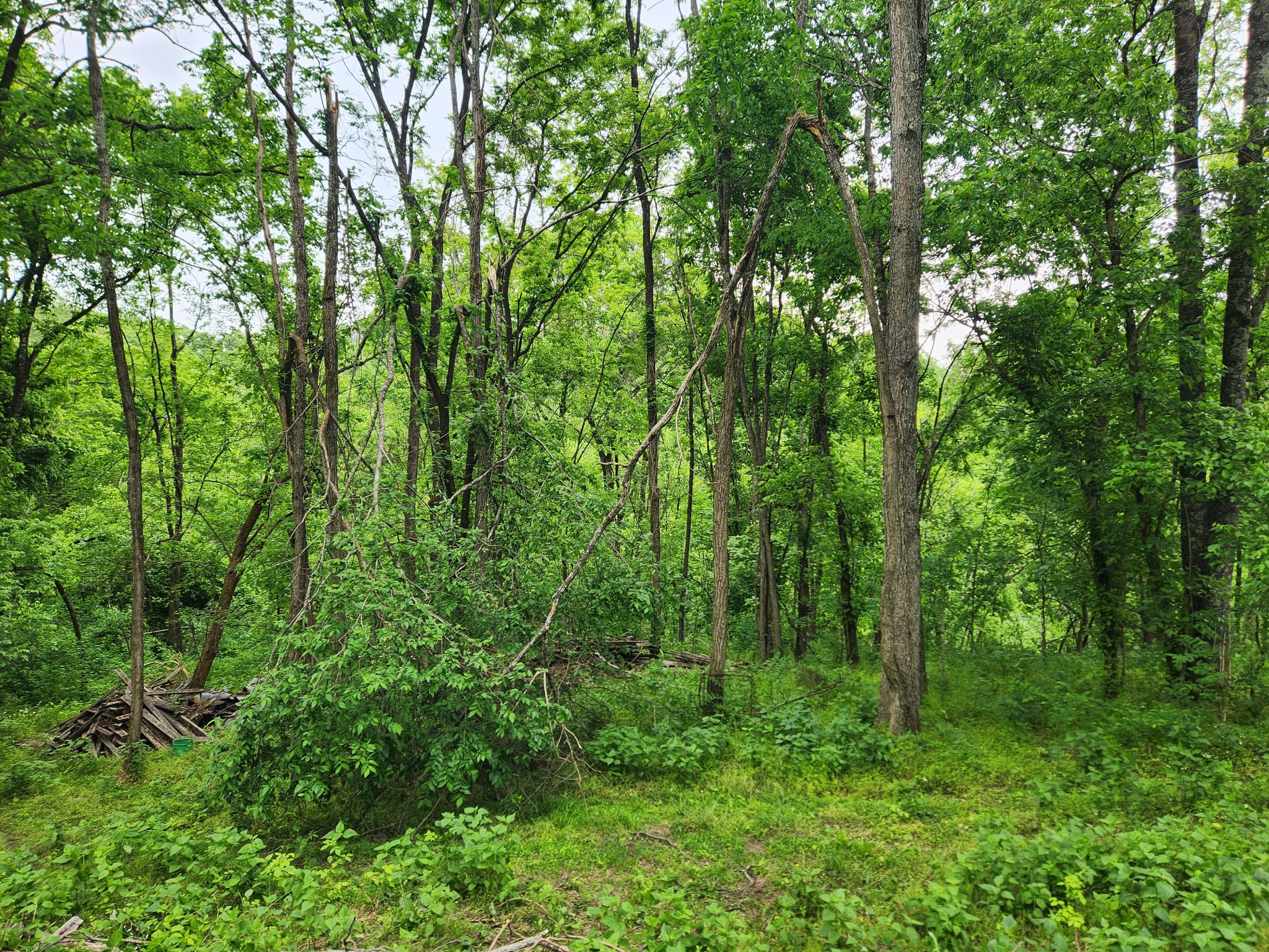 0 Thompson Hill Rd, Bethpage, TN 37022