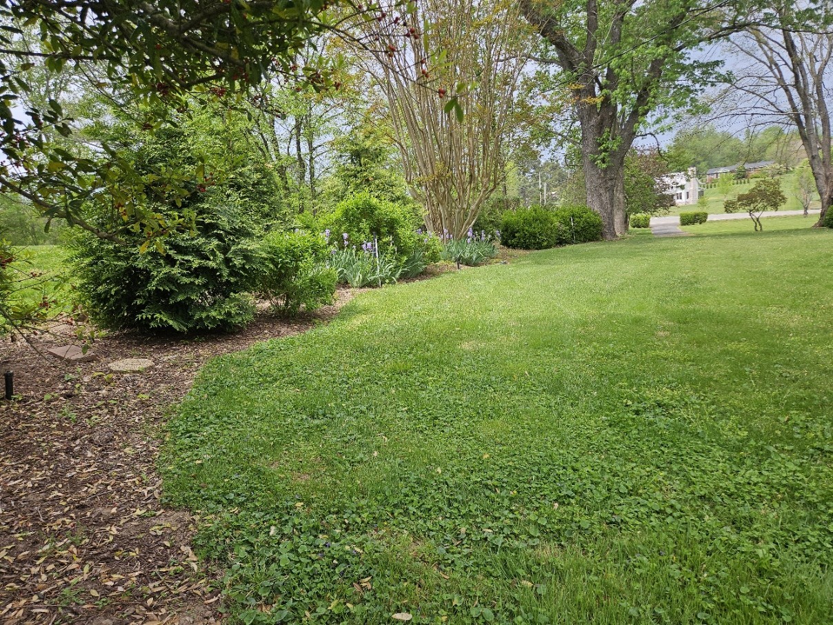 6629 Arno College Grove Rd, College Grove, TN 37046