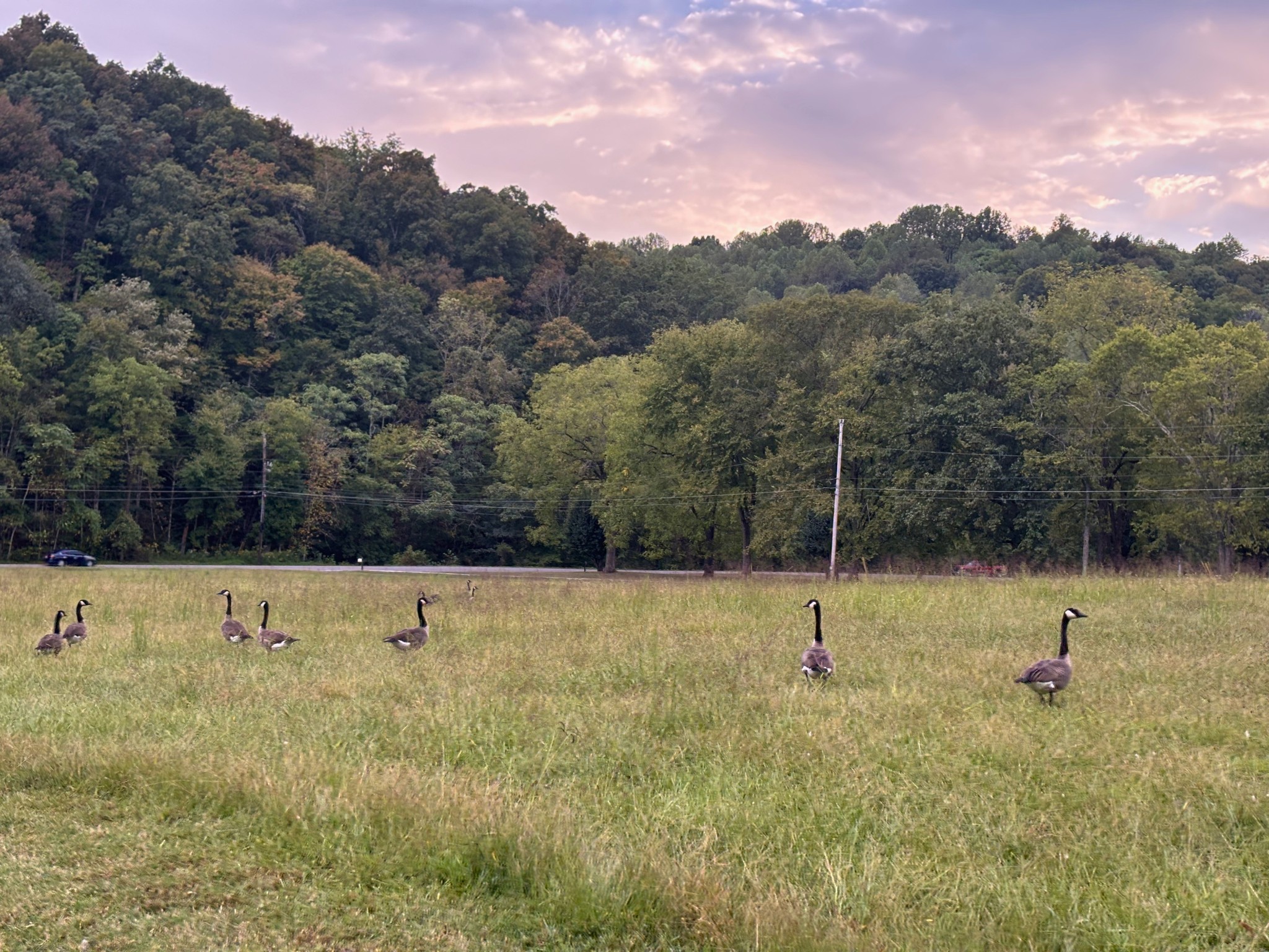 1229 Hogans Branch Rd, Hendersonville, TN 37075