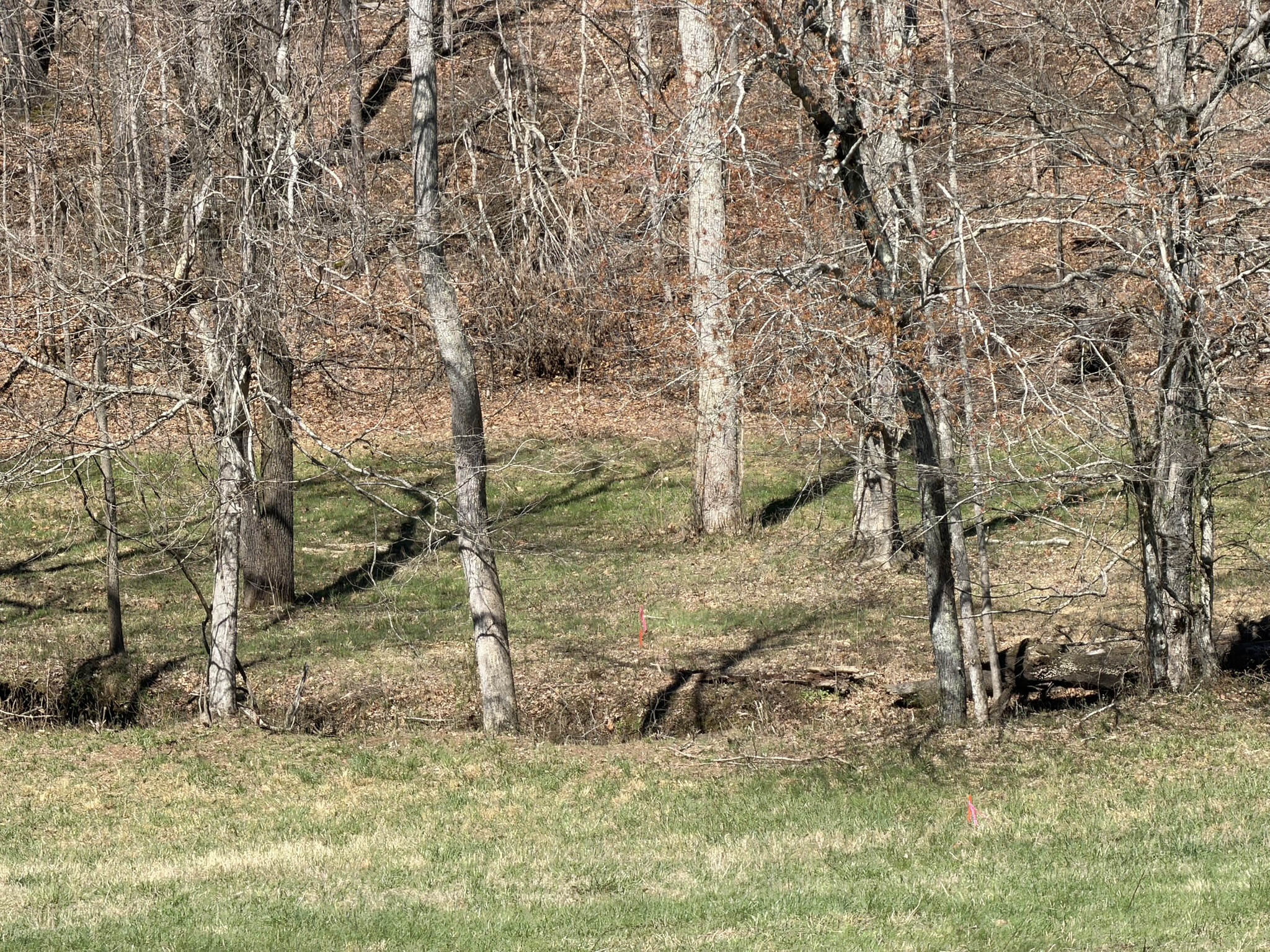 120 Brentwood Dr, Dickson, TN 37055