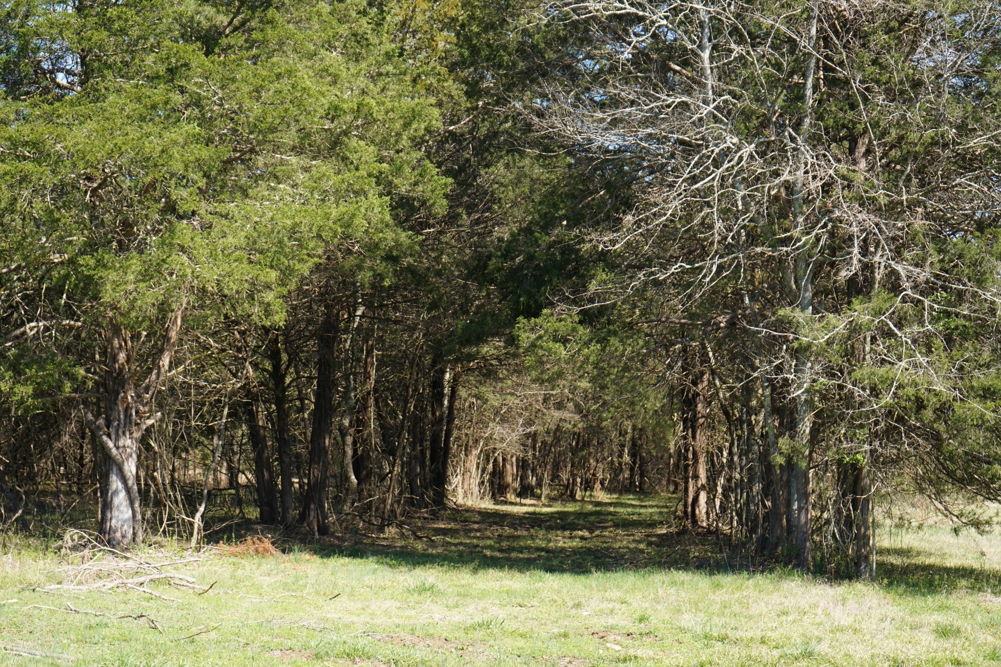 999 Old Lewisburg Hwy Lot 1, Columbia, TN 38401