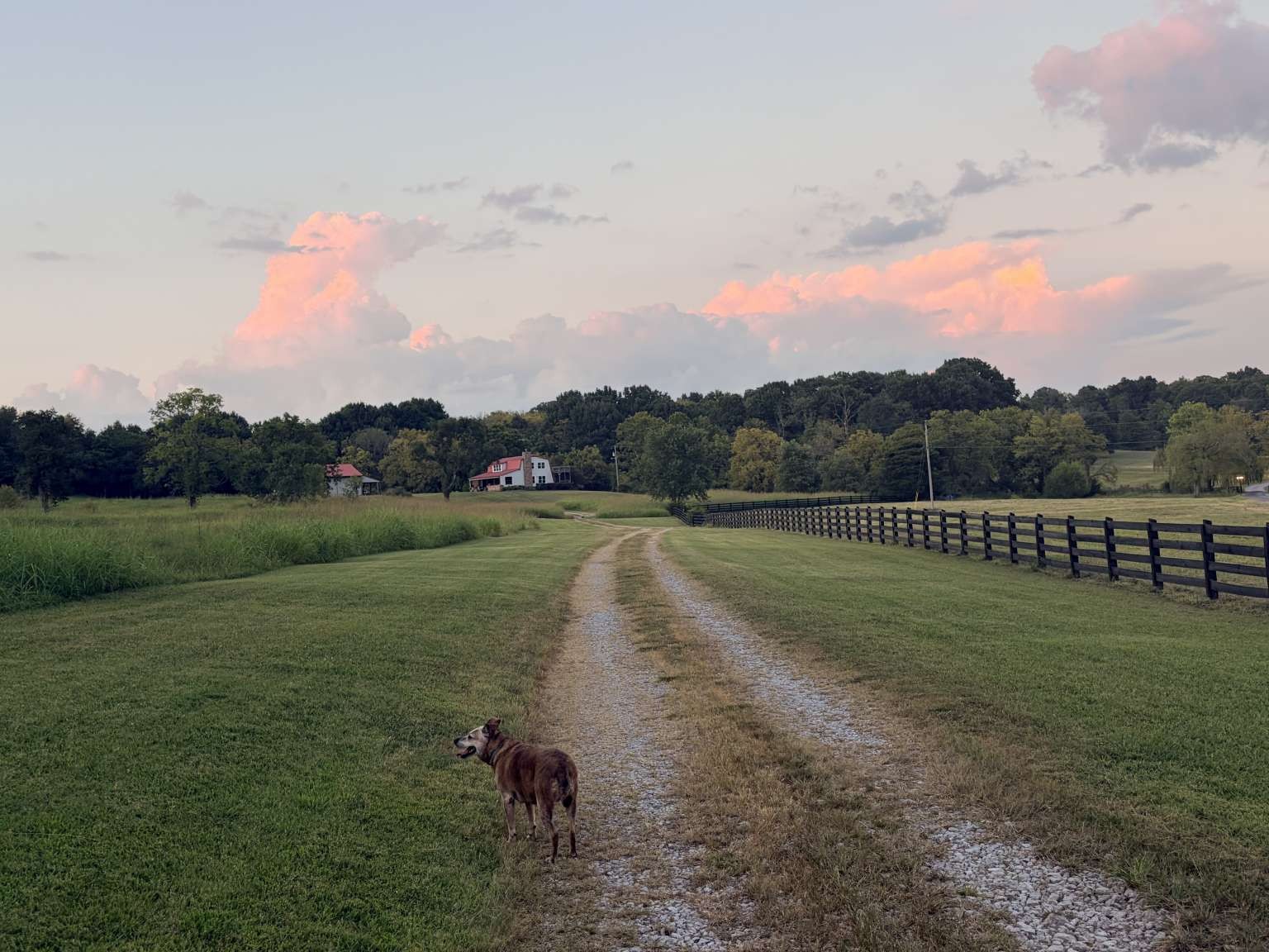 4243 Beech Log Rd, Lebanon, TN 37090