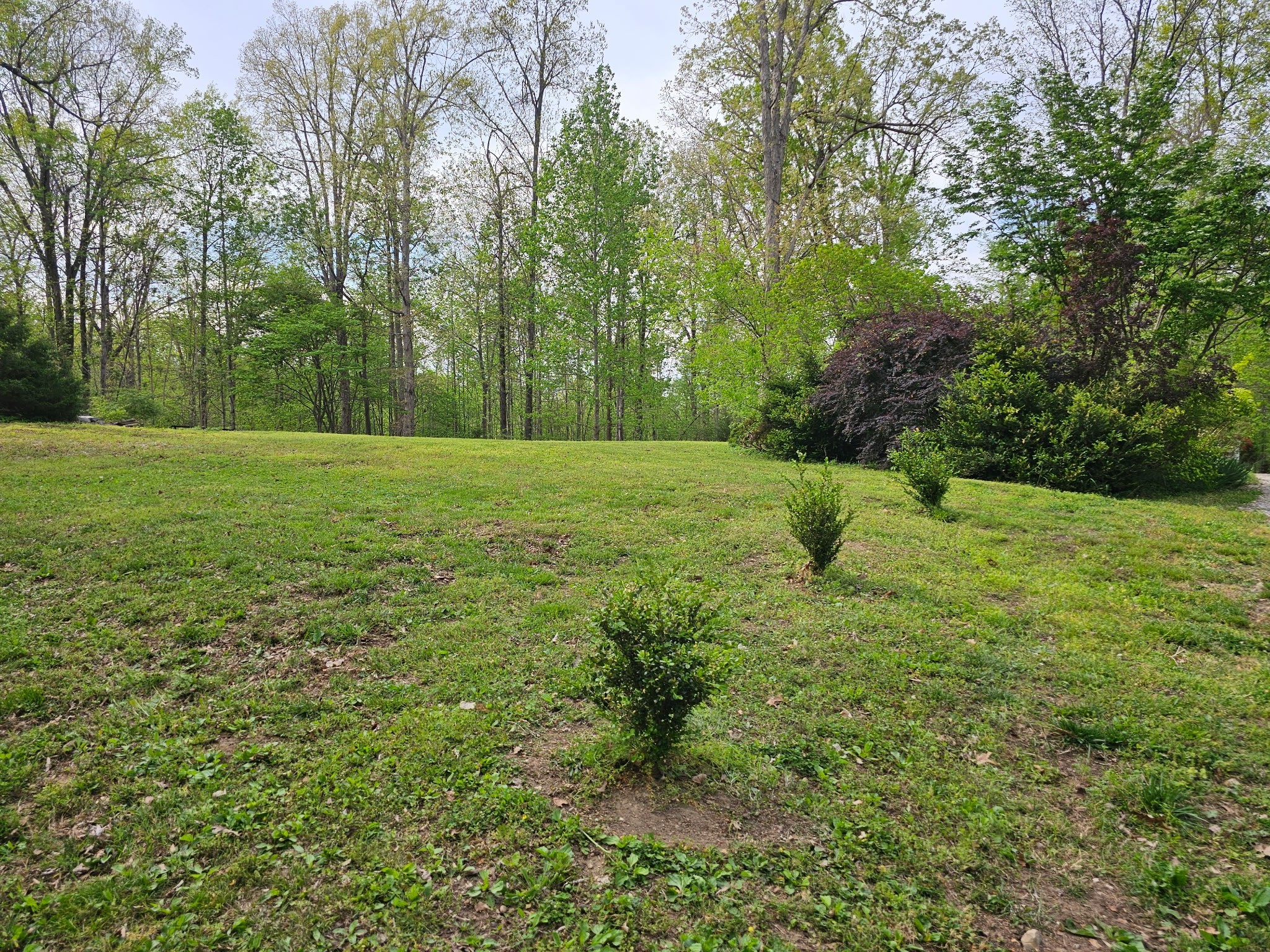 5180 Fire Tower Rd, Franklin, TN 37064