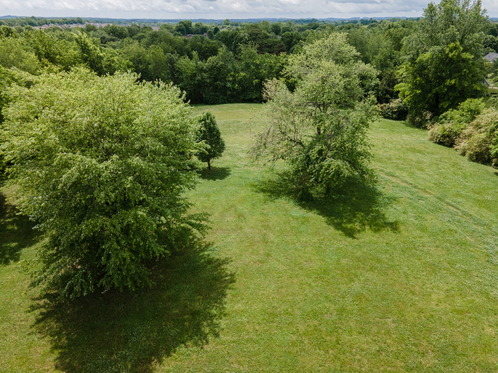2687 Buckner Rd, Thompsons Station, TN 37179