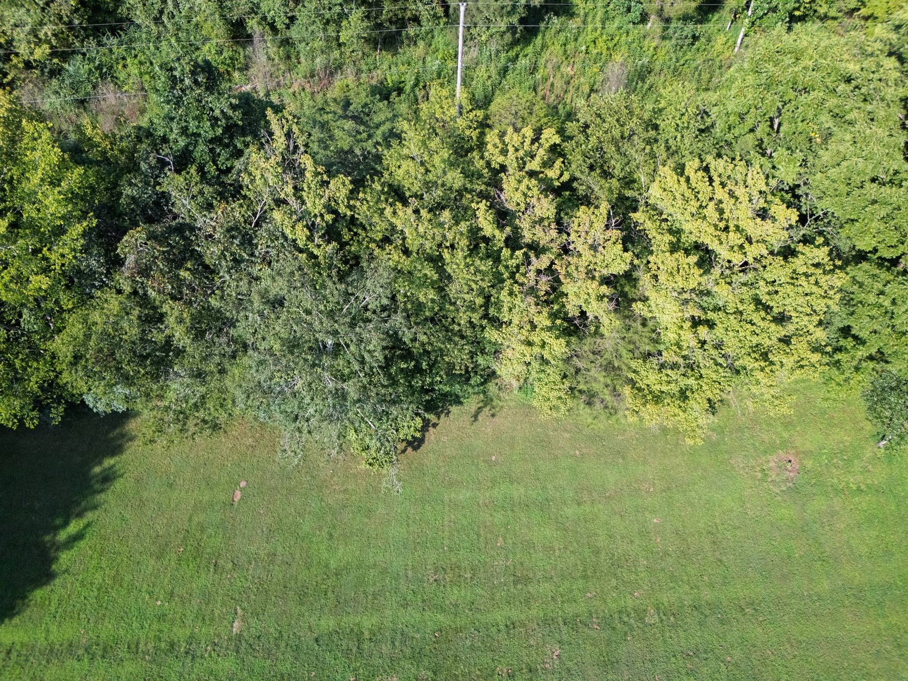 0 Dog Branch Rd S Lot 9, Pleasant Shade, TN 37145