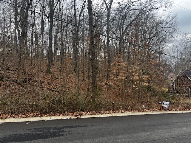 106 High Ridge Trl Lot 193, Goodlettsville, TN 37072