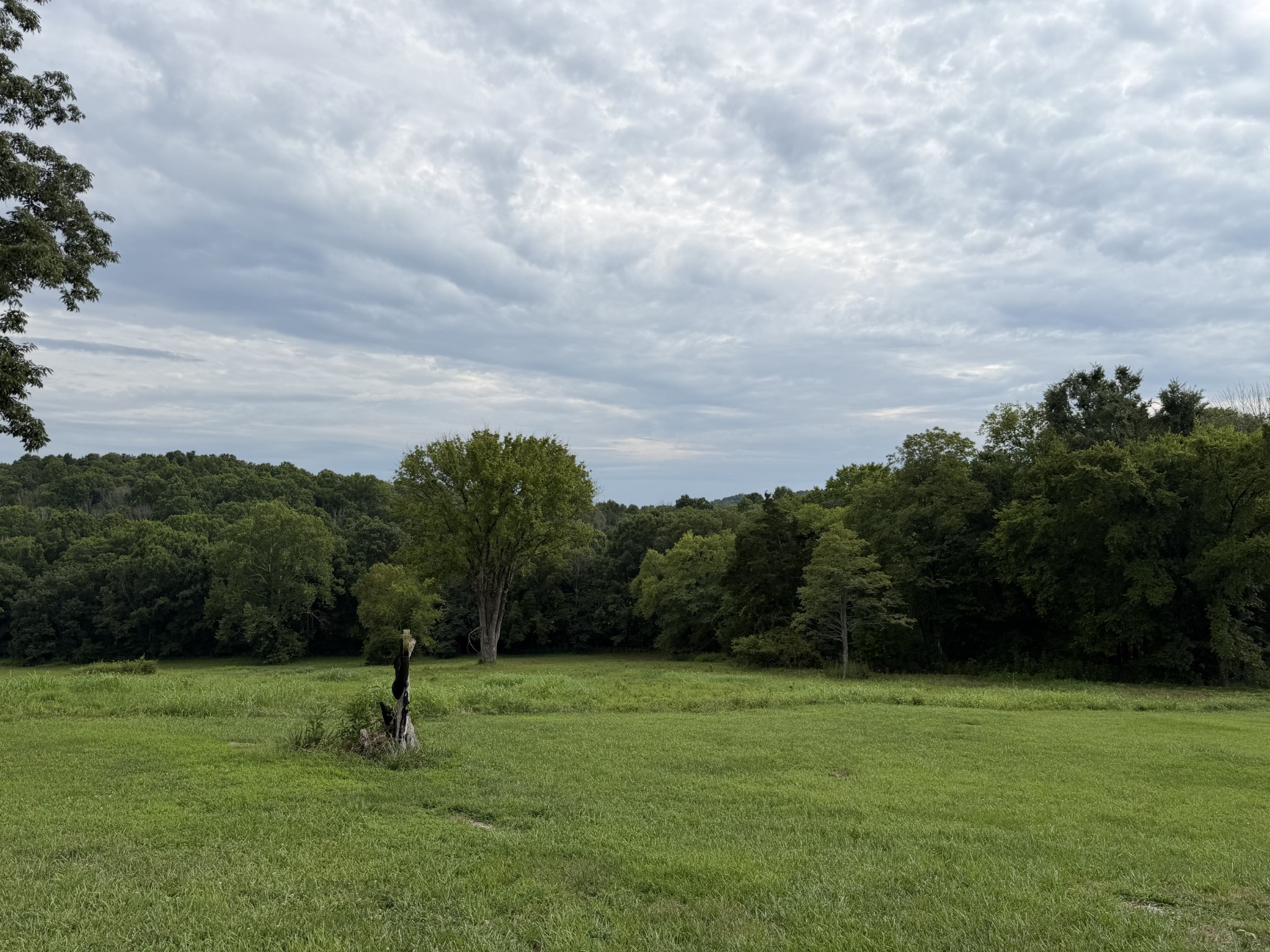 2370 Patton Hollow Rd, Watertown, TN 37184