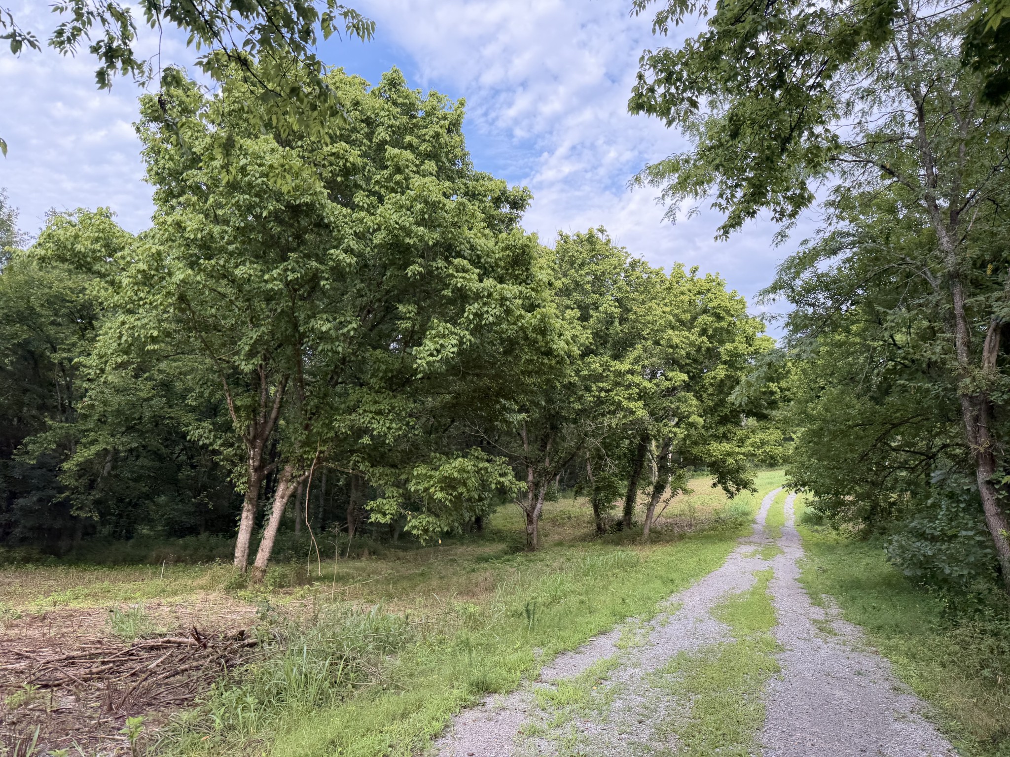 2370 Patton Hollow Rd, Watertown, TN 37184