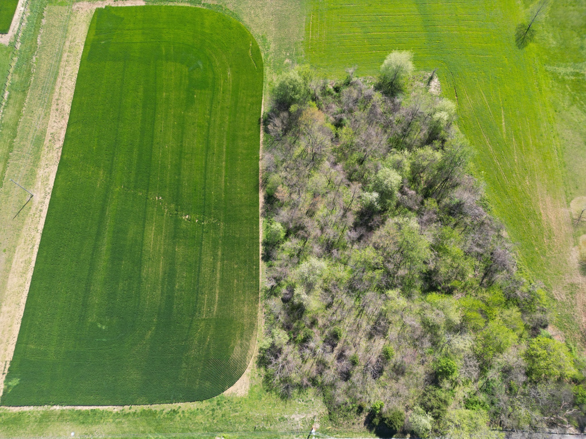 2641 Battle Creek Rd Lot B, Springfield, TN 37172
