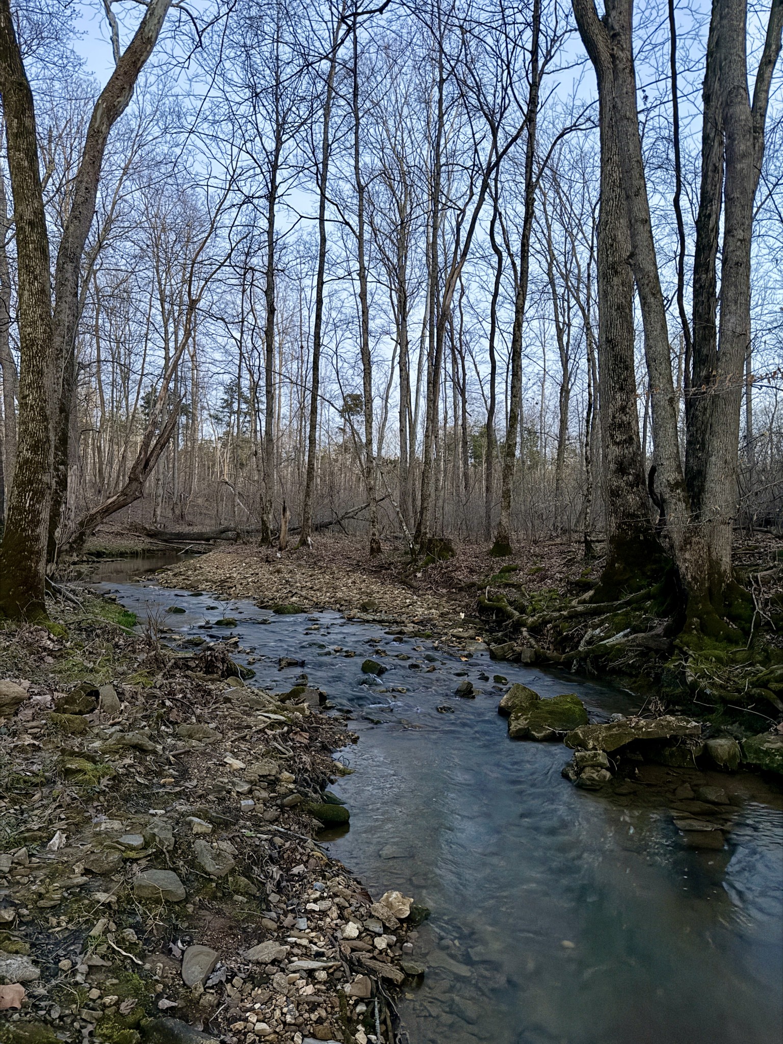 1 Highland Rd, Westmoreland, TN 37186